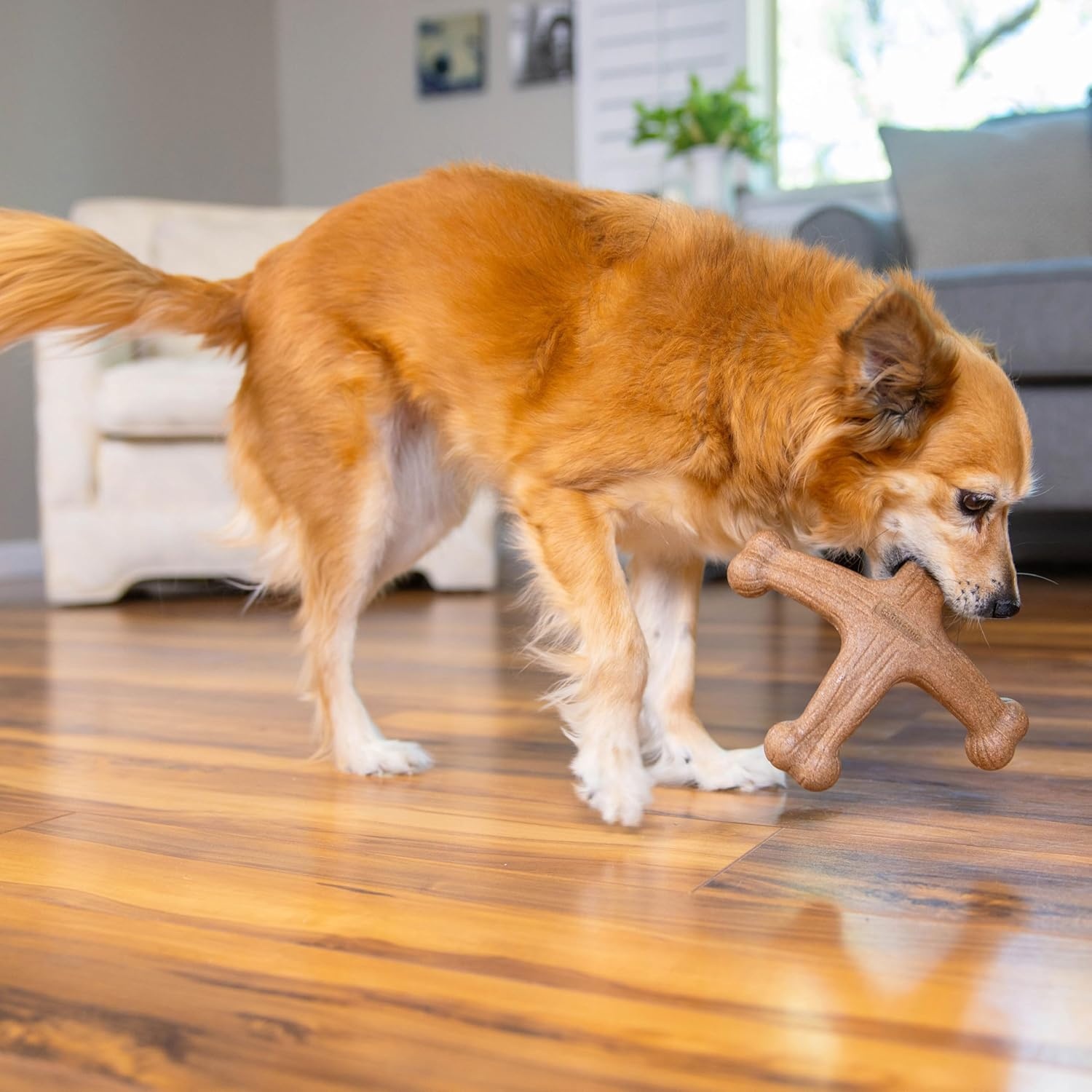 image:imagePupstages Dogwood Mesquite Dog Chew Toy RealWood Blend Moderate Chewers Medium 75 2Pack Natural amp Mesquite FlavorsDogwood Jack