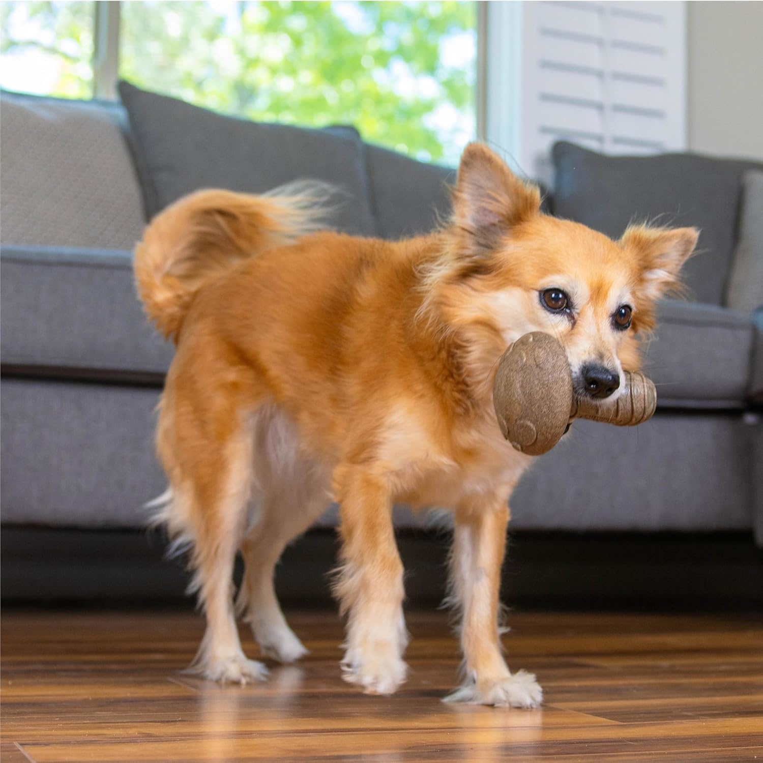 image:imagePupstages Dogwood Mesquite Dog Chew Toy RealWood Blend Moderate Chewers Medium 75 2Pack Natural amp Mesquite FlavorsDogwood Mushroom