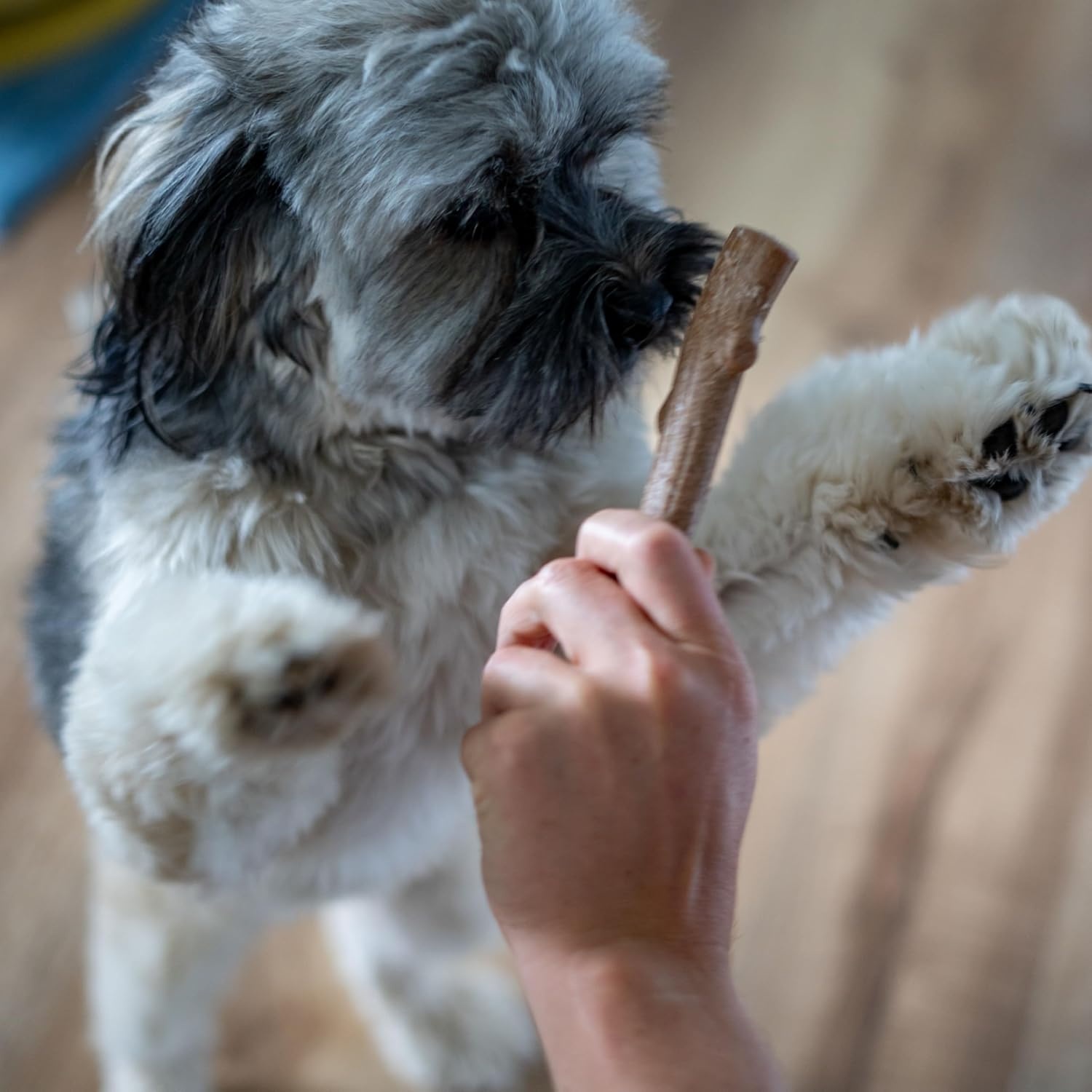 image:imagePupstages Super Dogwood Dog Chew Toy Made in the USA RealWood Blend Natural Wood Flavor amp Texture Moderate Chewers Medium 95XSmall Pack of 1