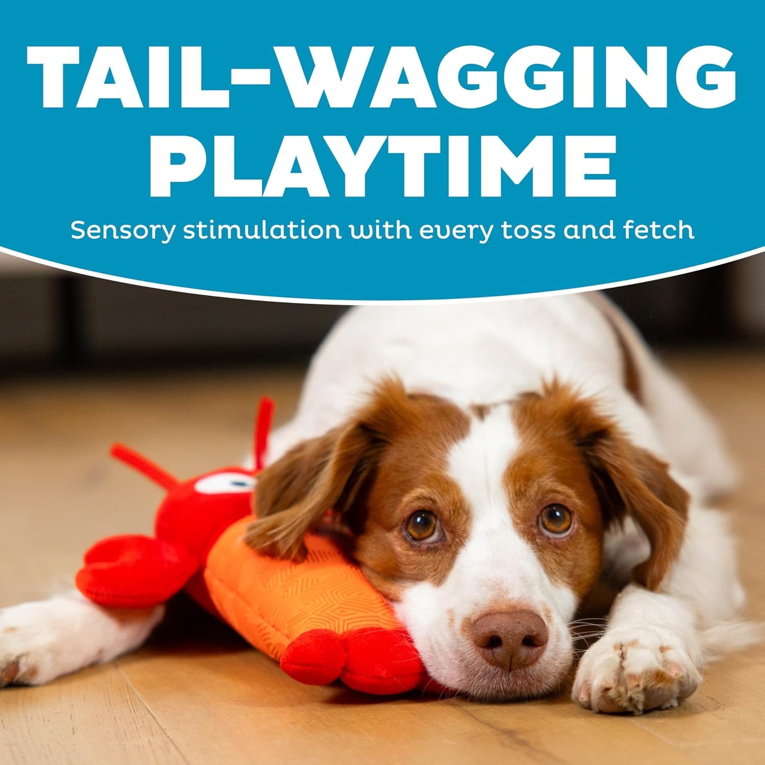 image:imageOutward Hound Coated Critterz Dog Toy Plush amp Molded Texture Squeaky Fetch Small amp Medium Dogs Lobster 104Coated Critterz Lobster
