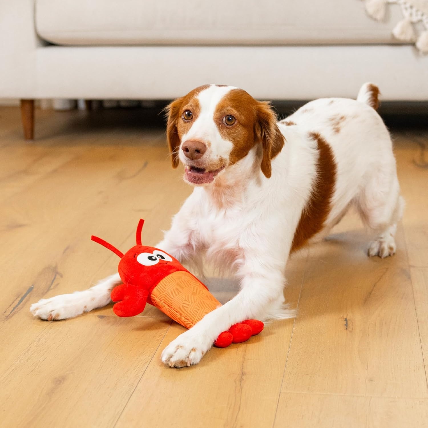 image:imageOutward Hound Coated Critterz Dog Toy Plush amp Molded Texture Squeaky Fetch Small amp Medium Dogs Lobster 104Coated Critterz Lobster