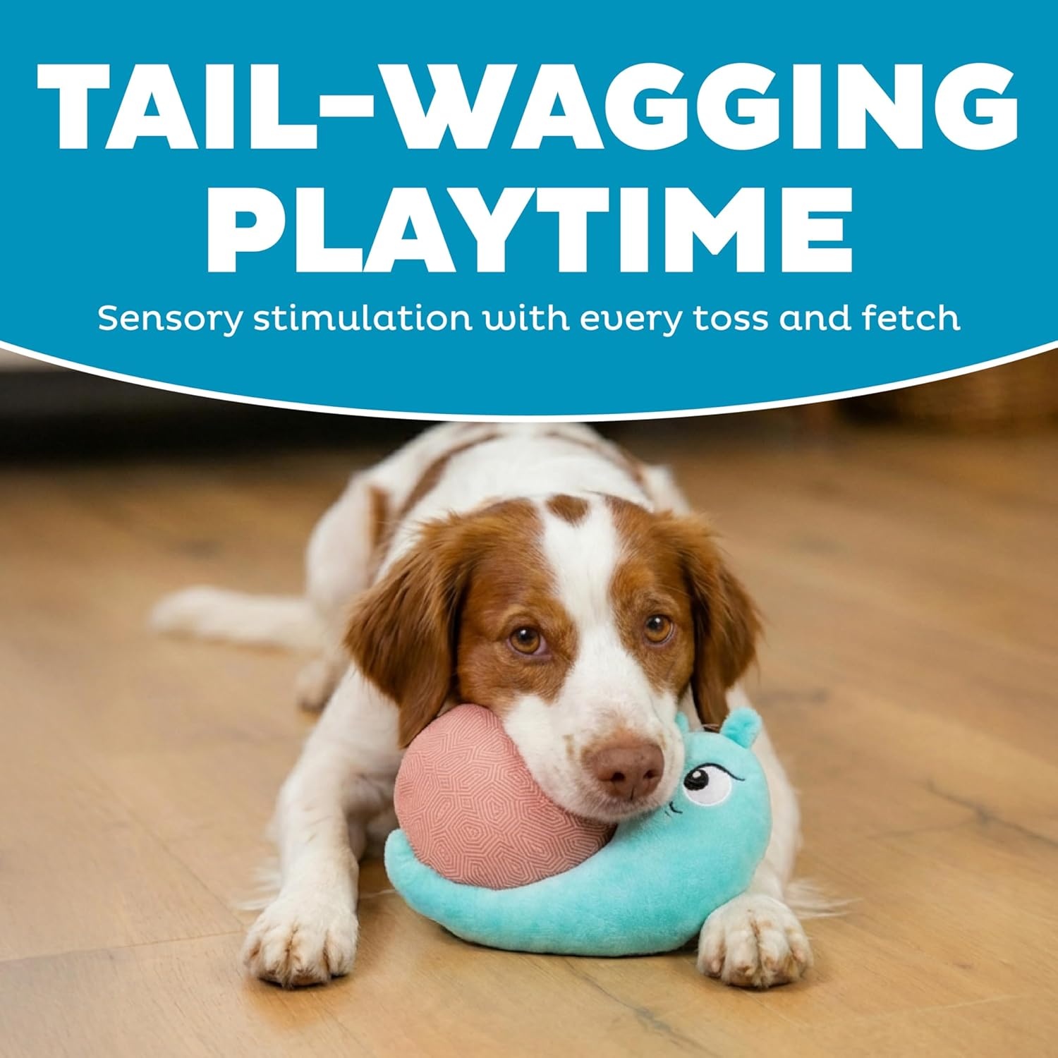 image:imageOutward Hound Coated Critterz Dog Toy Plush amp Molded Texture Squeaky Fetch Small amp Medium Dogs Lobster 104Coated Critterz Snail