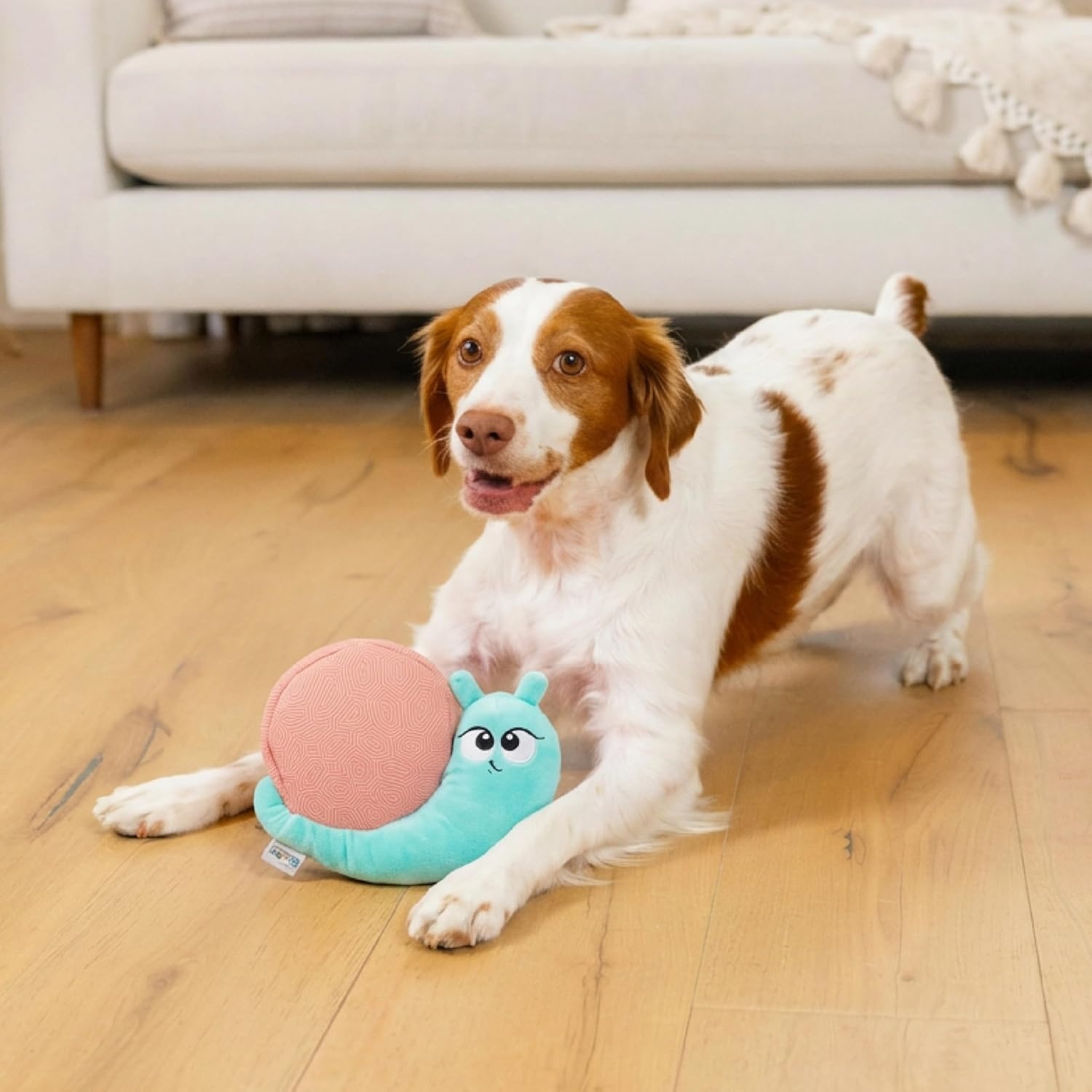 image:imageOutward Hound Coated Critterz Dog Toy Plush amp Molded Texture Squeaky Fetch Small amp Medium Dogs Lobster 104Coated Critterz Snail