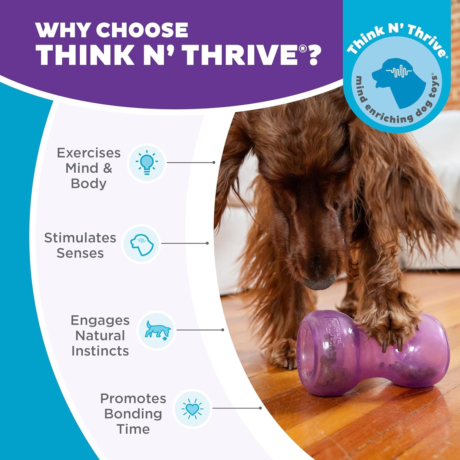 image:imageOutward Hound DoubleTuff Stuffable Dog Toy Large 5Inch Green Treat Dispensing Chew Ball for Medium to Large Dogs Interactive Puzzle for Enrichment amp Slow FeedingDouble Snoop Purple