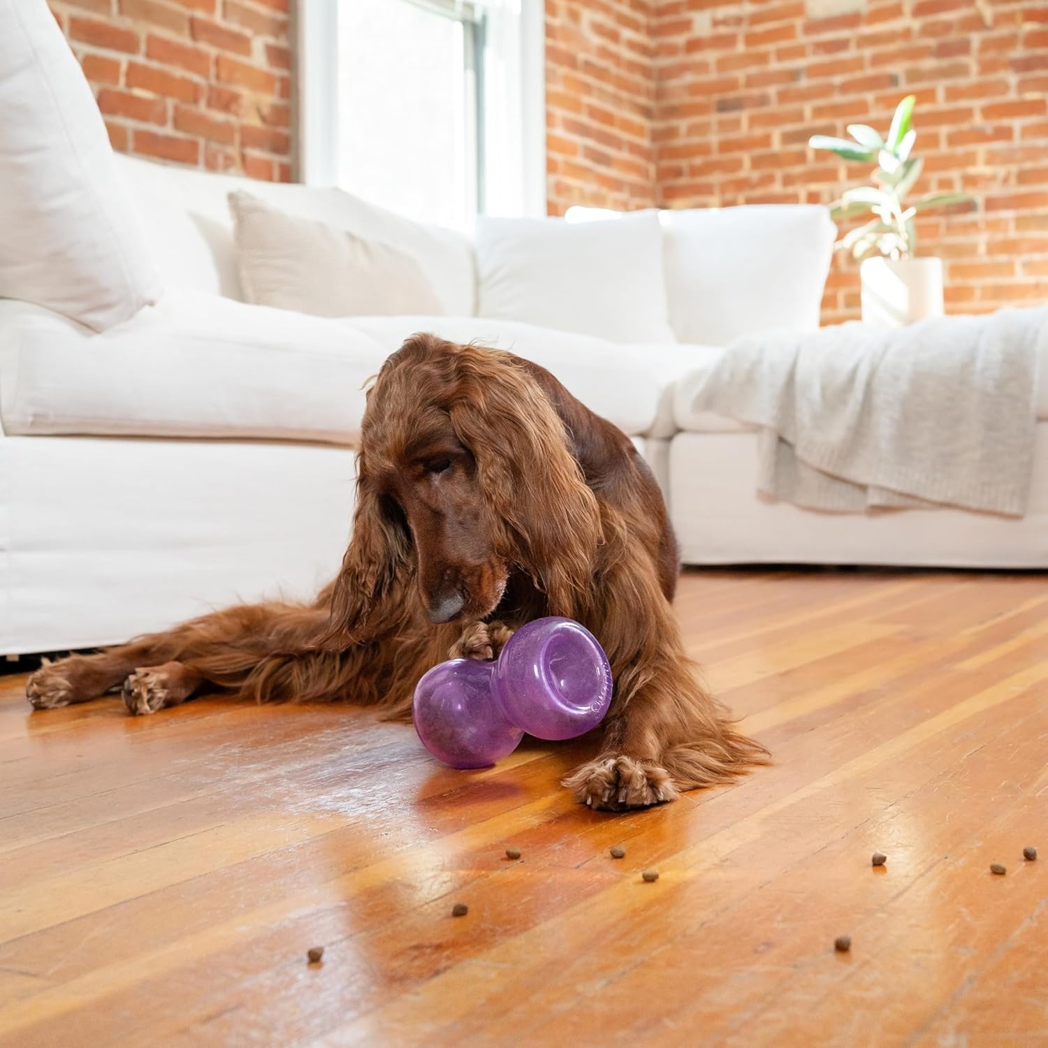 image:imageOutward Hound DoubleTuff Stuffable Dog Toy Large 5Inch Green Treat Dispensing Chew Ball for Medium to Large Dogs Interactive Puzzle for Enrichment amp Slow FeedingDouble Snoop Purple