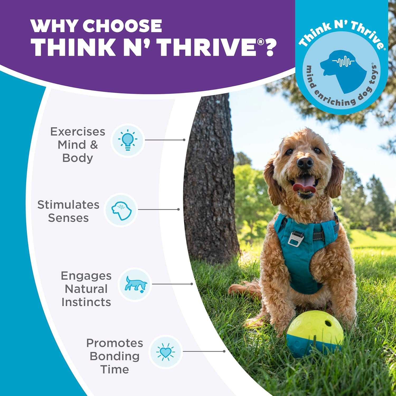 image:imageOutward Hound DoubleTuff Stuffable Dog Toy Large 5Inch Green Treat Dispensing Chew Ball for Medium to Large Dogs Interactive Puzzle for Enrichment amp Slow FeedingTreat Tumble Small Blue