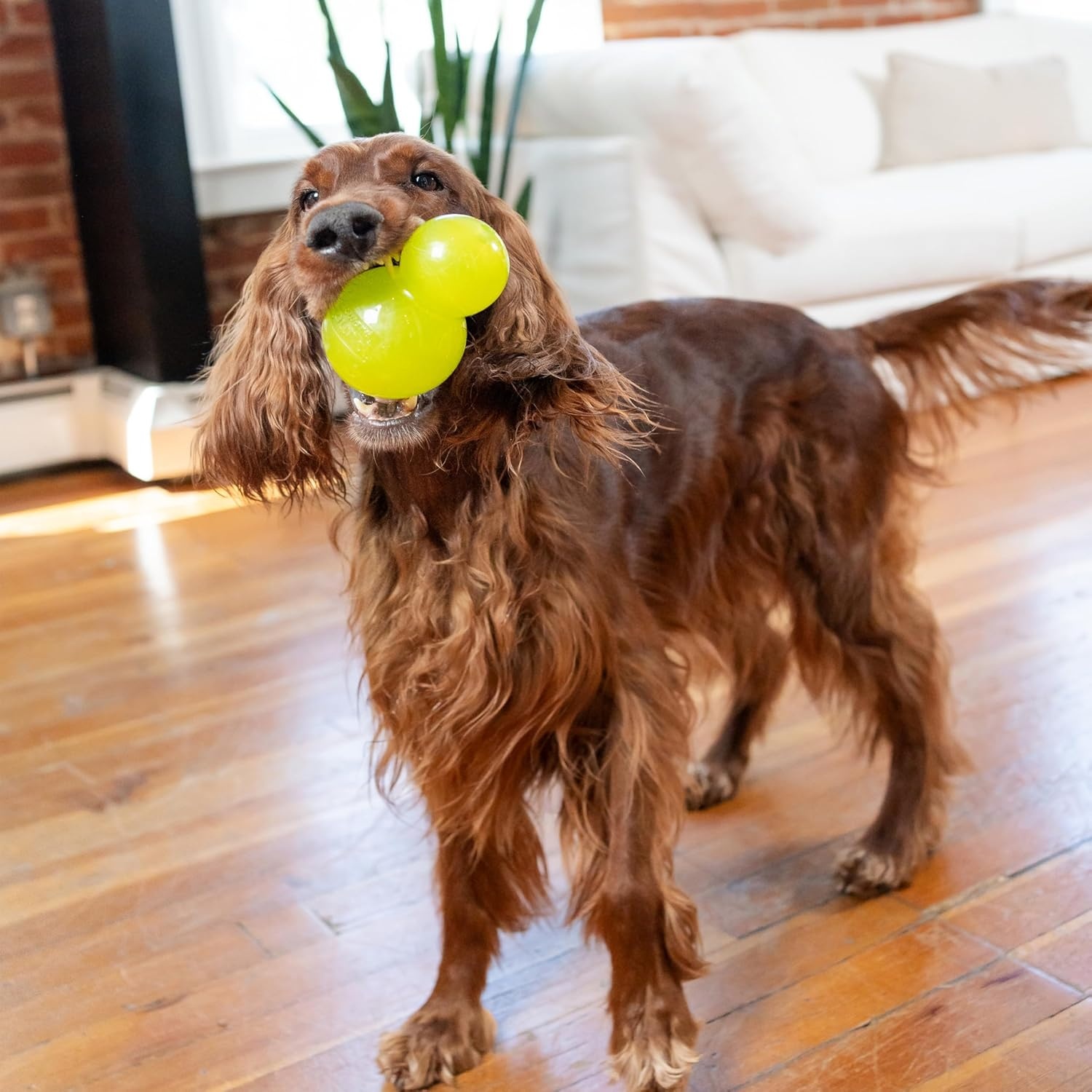 image:imageOutward Hound DoubleTuff Stuffable Dog Toy Large 5Inch Green Treat Dispensing Chew Ball for Medium to Large Dogs Interactive Puzzle for Enrichment amp Slow FeedingGreen