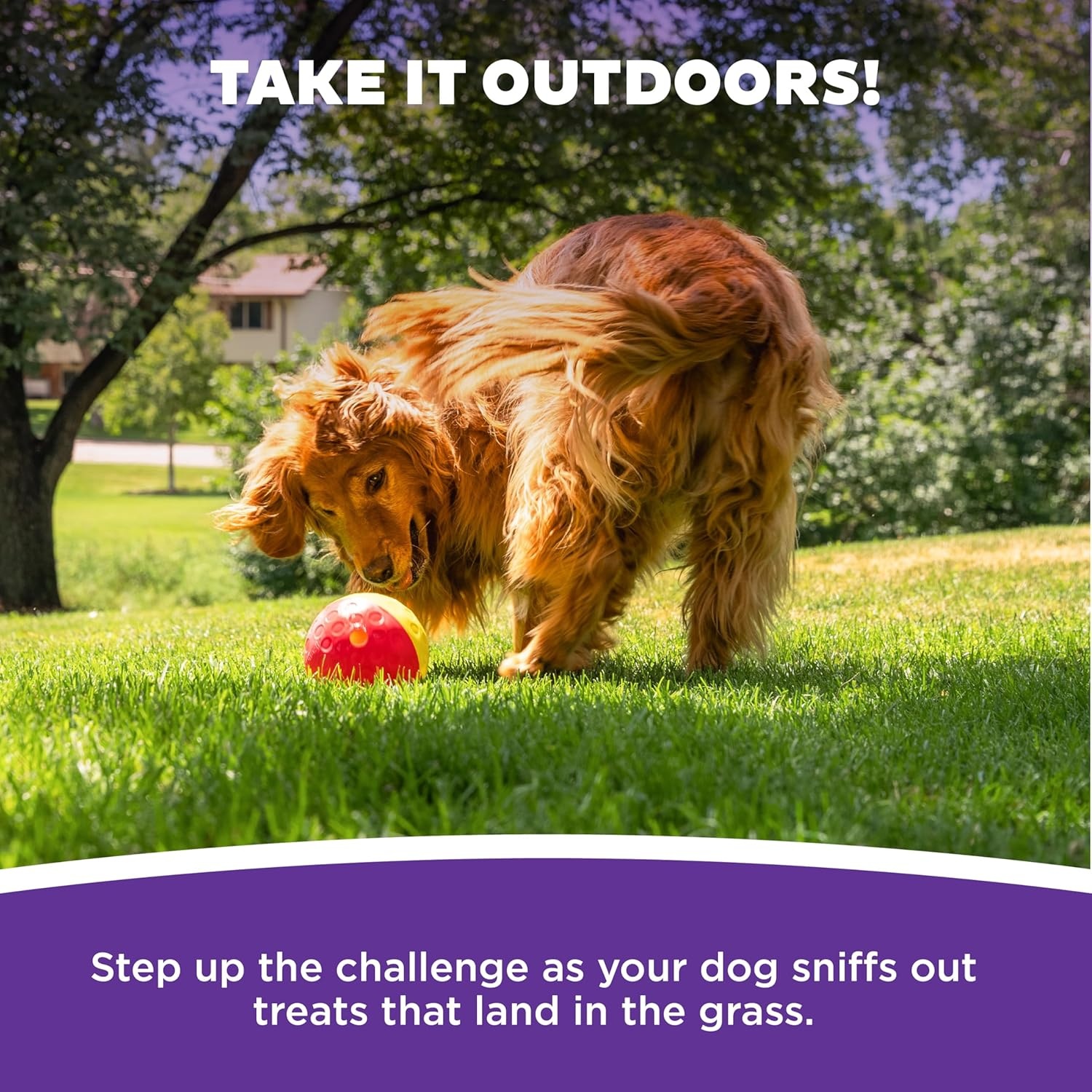 image:imageOutward Hound DoubleTuff Stuffable Dog Toy Large 5Inch Green Treat Dispensing Chew Ball for Medium to Large Dogs Interactive Puzzle for Enrichment amp Slow FeedingPink Treat Tumble