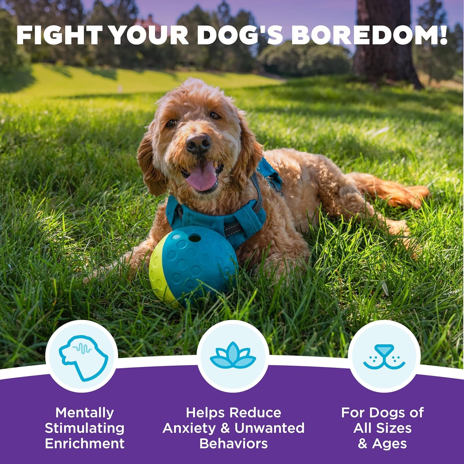image:imageOutward Hound DoubleTuff Stuffable Dog Toy Large 5Inch Green Treat Dispensing Chew Ball for Medium to Large Dogs Interactive Puzzle for Enrichment amp Slow FeedingTreat Tumble Small Blue