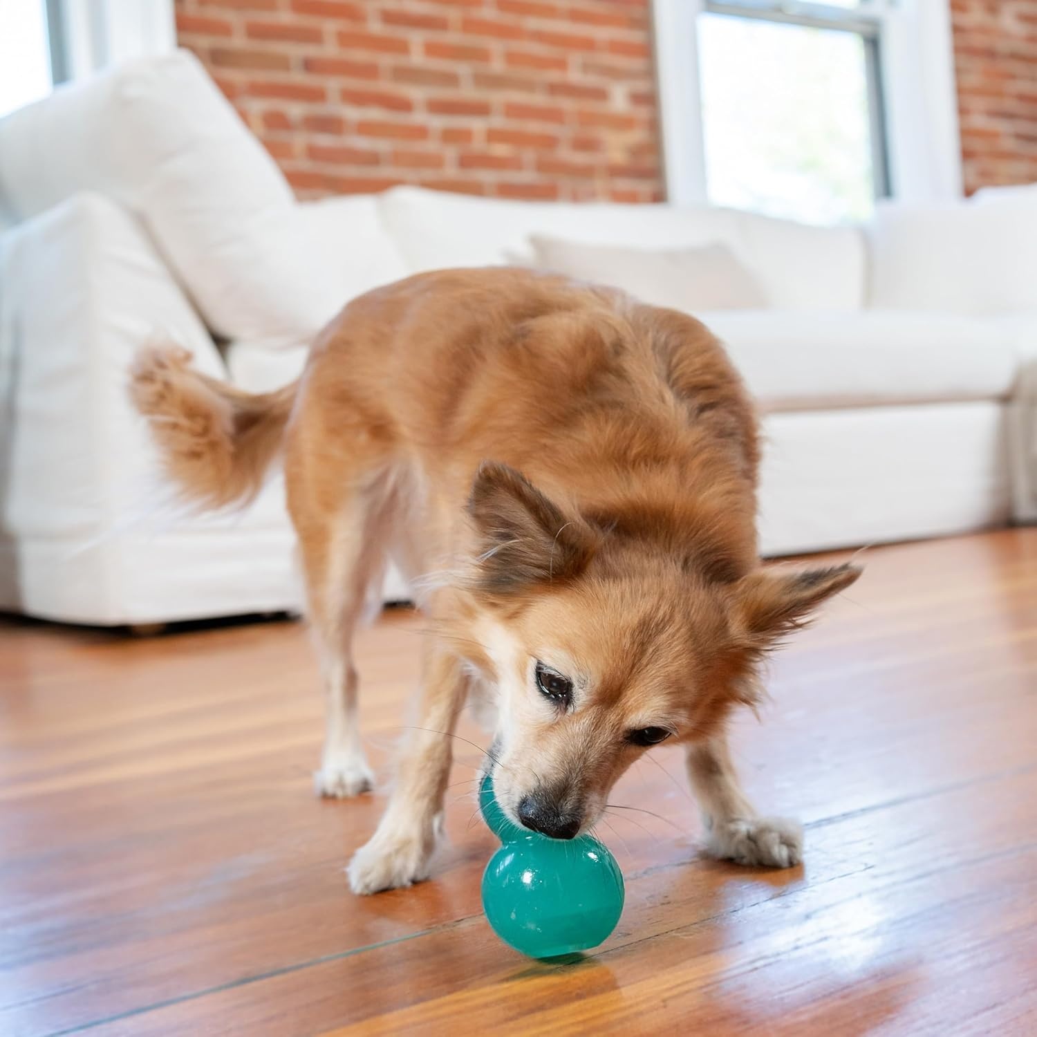 image:imageOutward Hound DoubleTuff Stuffable Dog Toy Large 5Inch Green Treat Dispensing Chew Ball for Medium to Large Dogs Interactive Puzzle for Enrichment amp Slow FeedingDoubleTuff Stuffable Blue