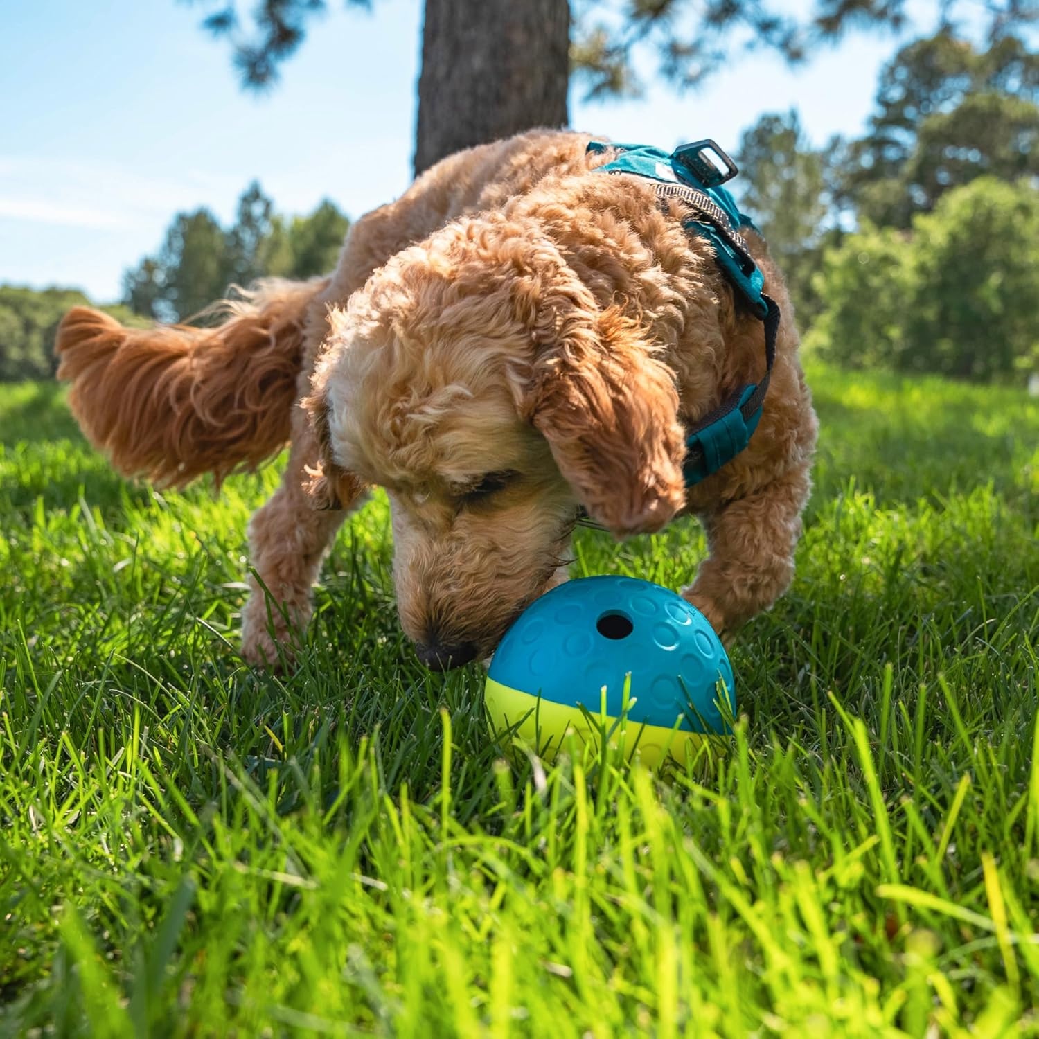image:imageOutward Hound DoubleTuff Stuffable Dog Toy Large 5Inch Green Treat Dispensing Chew Ball for Medium to Large Dogs Interactive Puzzle for Enrichment amp Slow FeedingTreat Tumble Small Blue