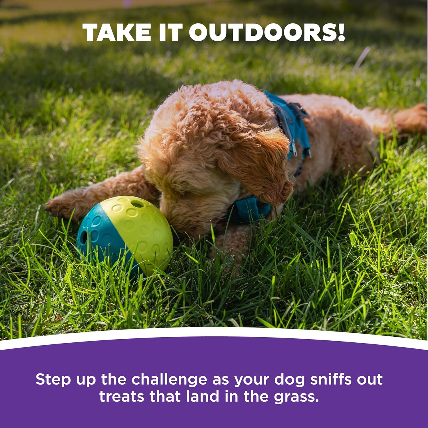 image:imageOutward Hound DoubleTuff Stuffable Dog Toy Large 5Inch Green Treat Dispensing Chew Ball for Medium to Large Dogs Interactive Puzzle for Enrichment amp Slow FeedingTreat Tumble Small Blue