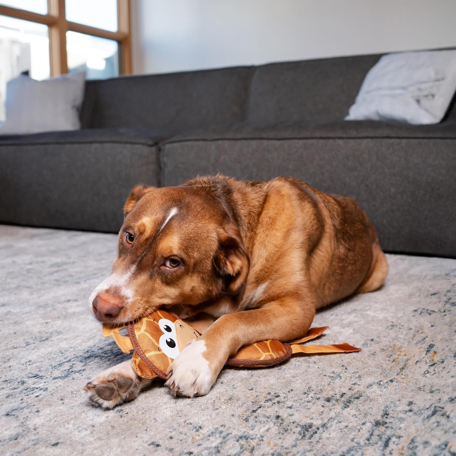image:imageOutward Hound Fire Biterz Turtle Plush Firehose Material Interactive Dog Toy MediumBrown Giraffe