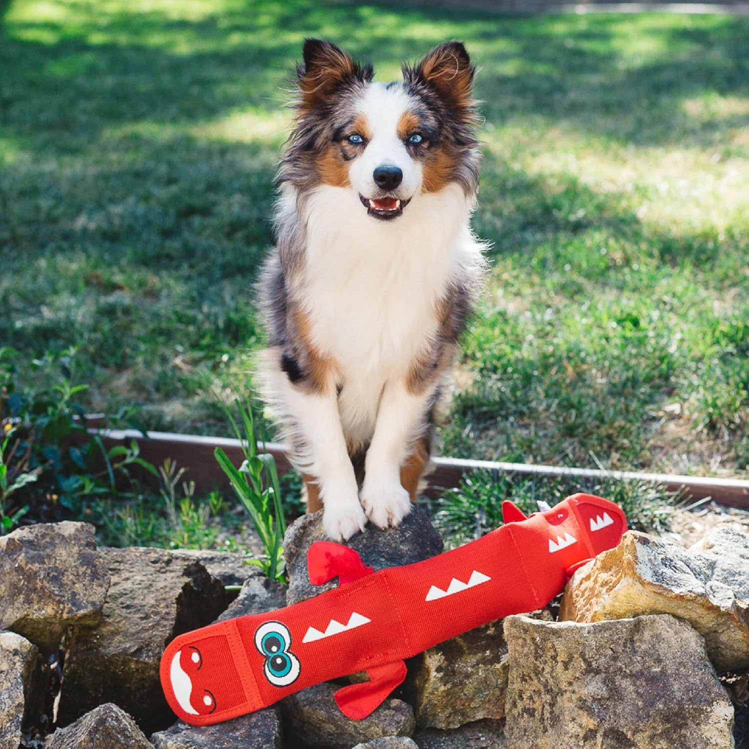 image:imageOutward Hound Fire Biterz Turtle Plush Firehose Material Interactive Dog Toy MediumRed Dragon