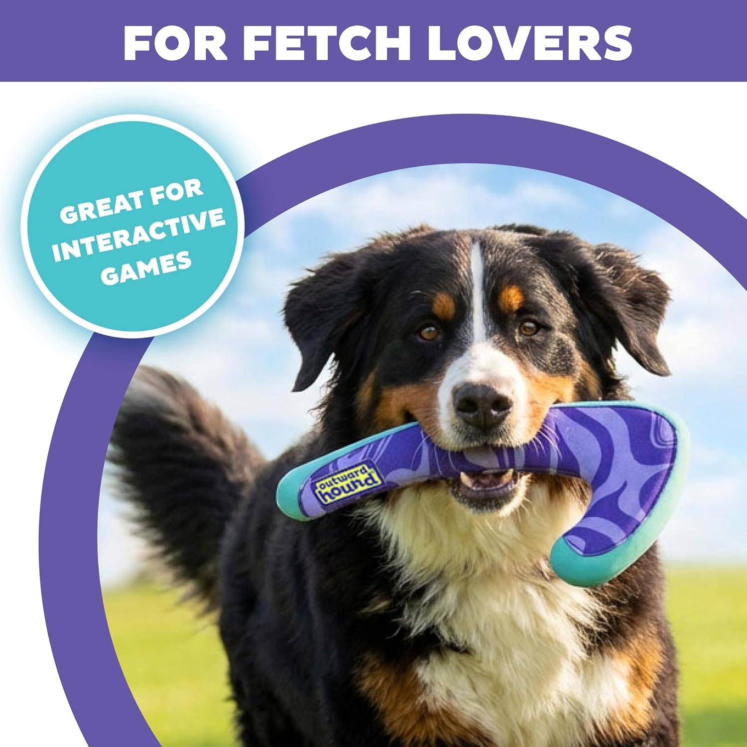 image:imageOutward Hound FlyFetch Boomerang Dog Toy Lightweight Foam Core Rubber Rim Floats in Water All Breeds 11