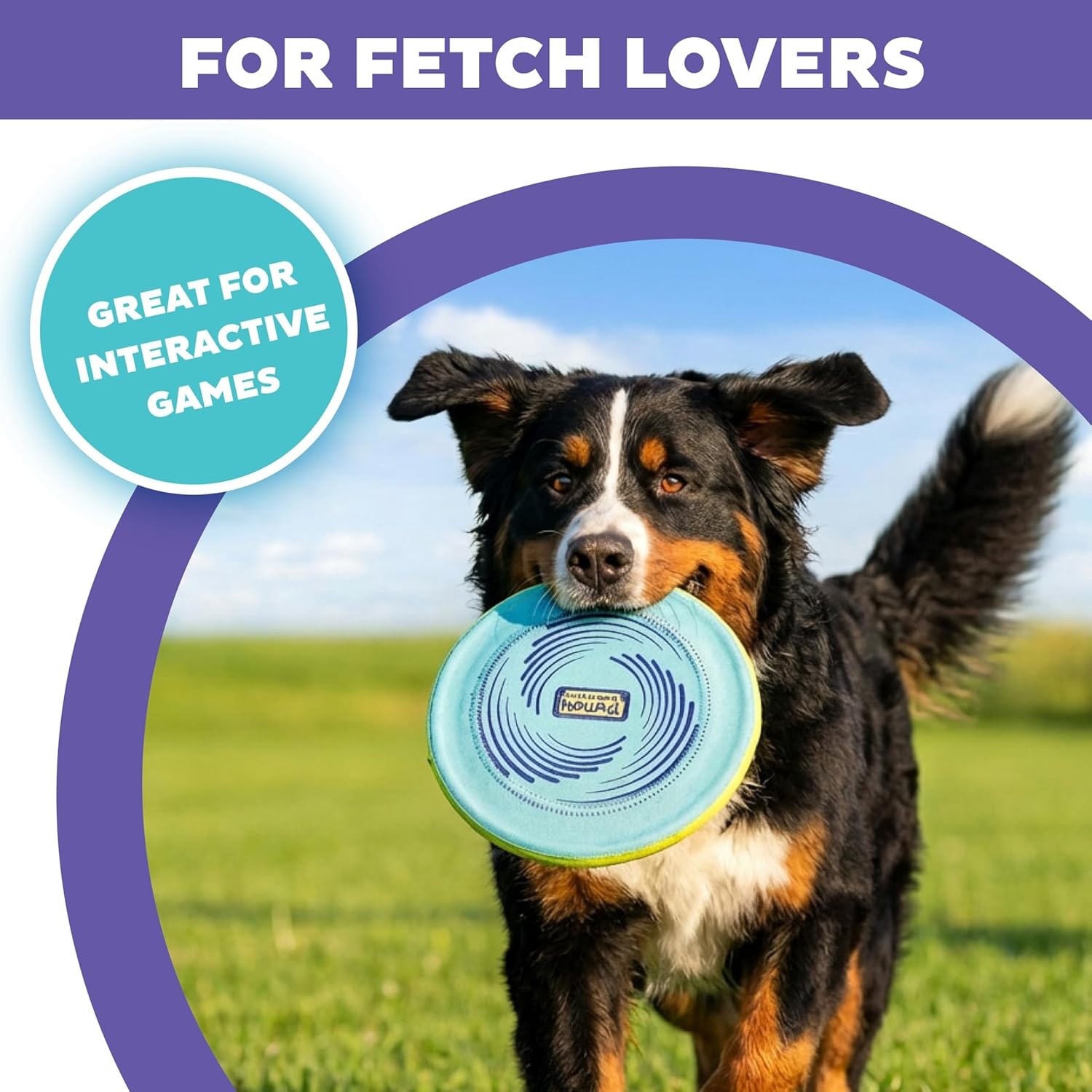 image:imageOutward Hound FlyFetch Disc Dog Toy Aerodynamic for Fetch Lightweight Foam amp Durable Rubber Floats in Water All Breeds 83