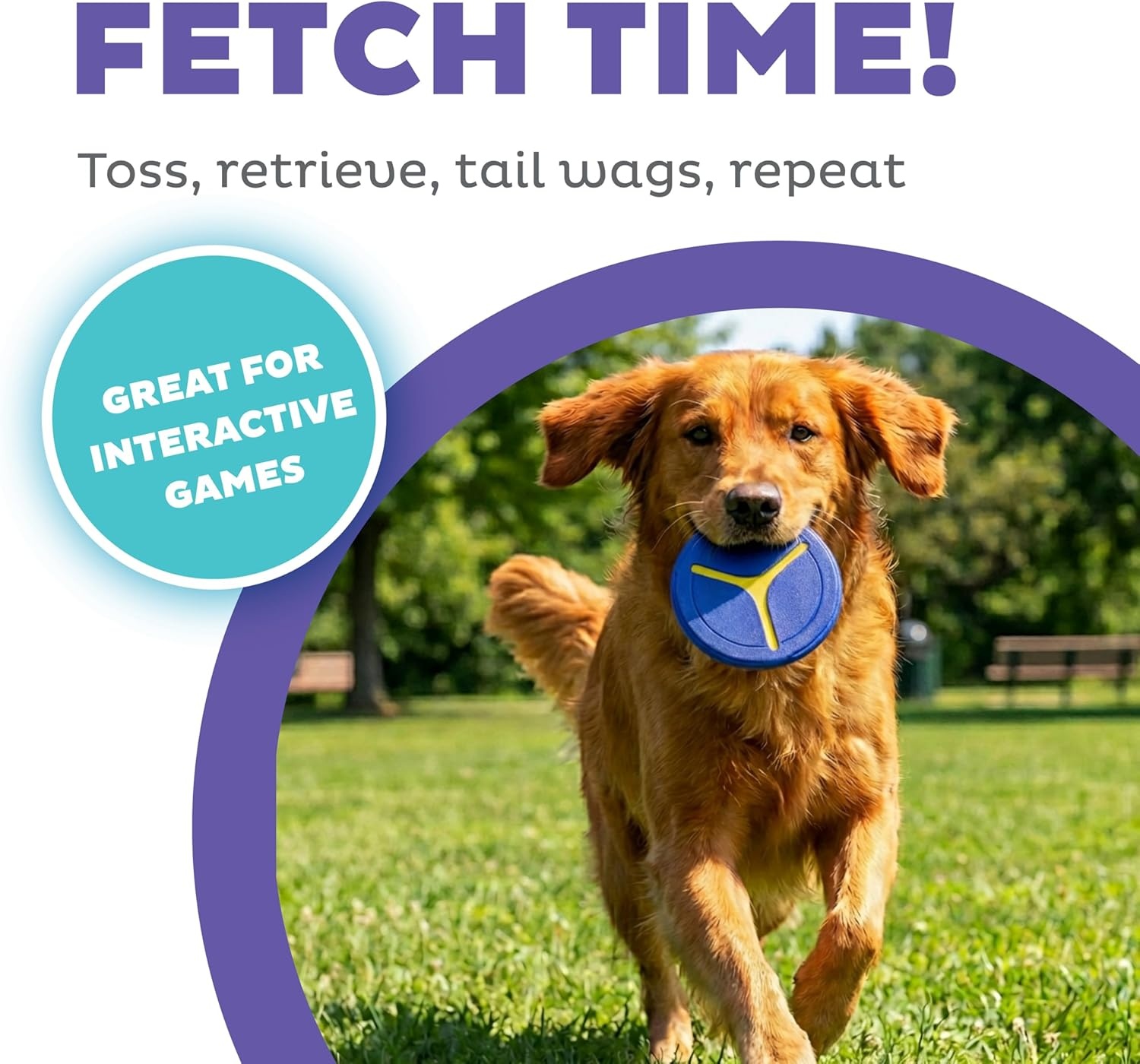 image:imageOutward Hound FlyFetch Disc Dog Toy Durable Rubber StandAlone or Replacement Discs for Launcher 5 2Pack