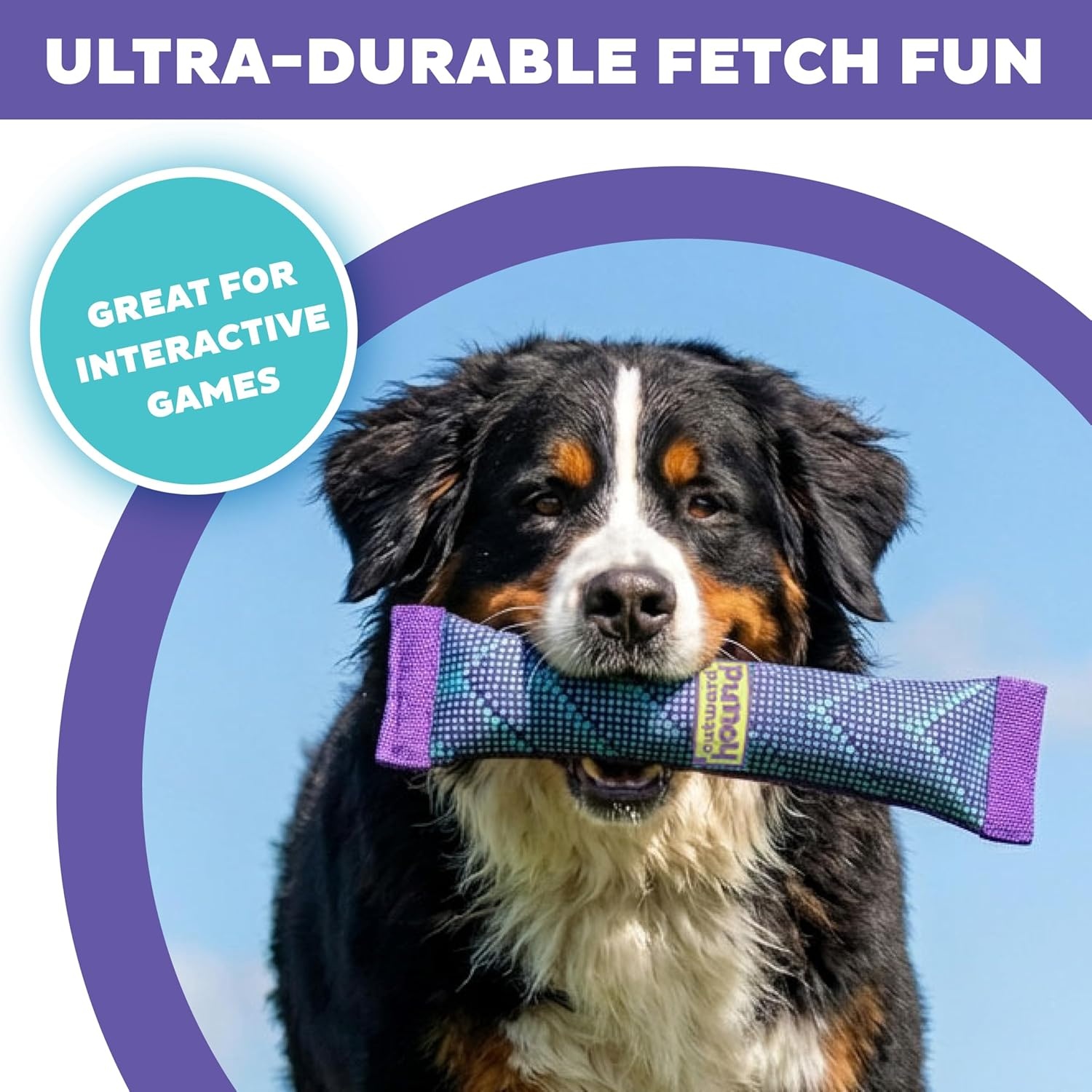 image:imageOutward Hound FlyFetch Firehose Fetch UltraDurable Dog Toy with Squeaker Floats in Water All Breeds 16