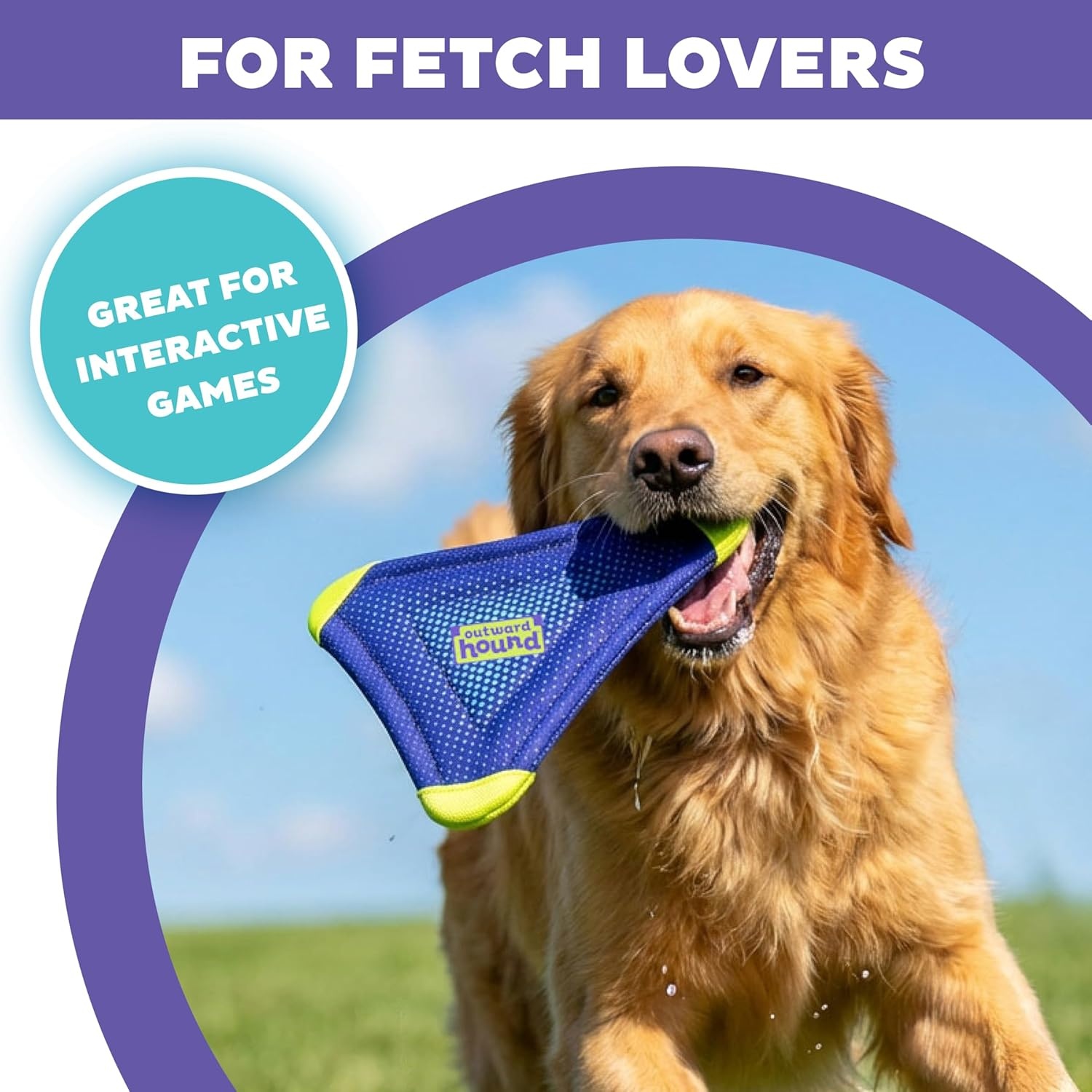 image:imageOutward Hound FlyFetch Flyer Dog Toy Lightweight Floats in Water All Breeds 10 x 112