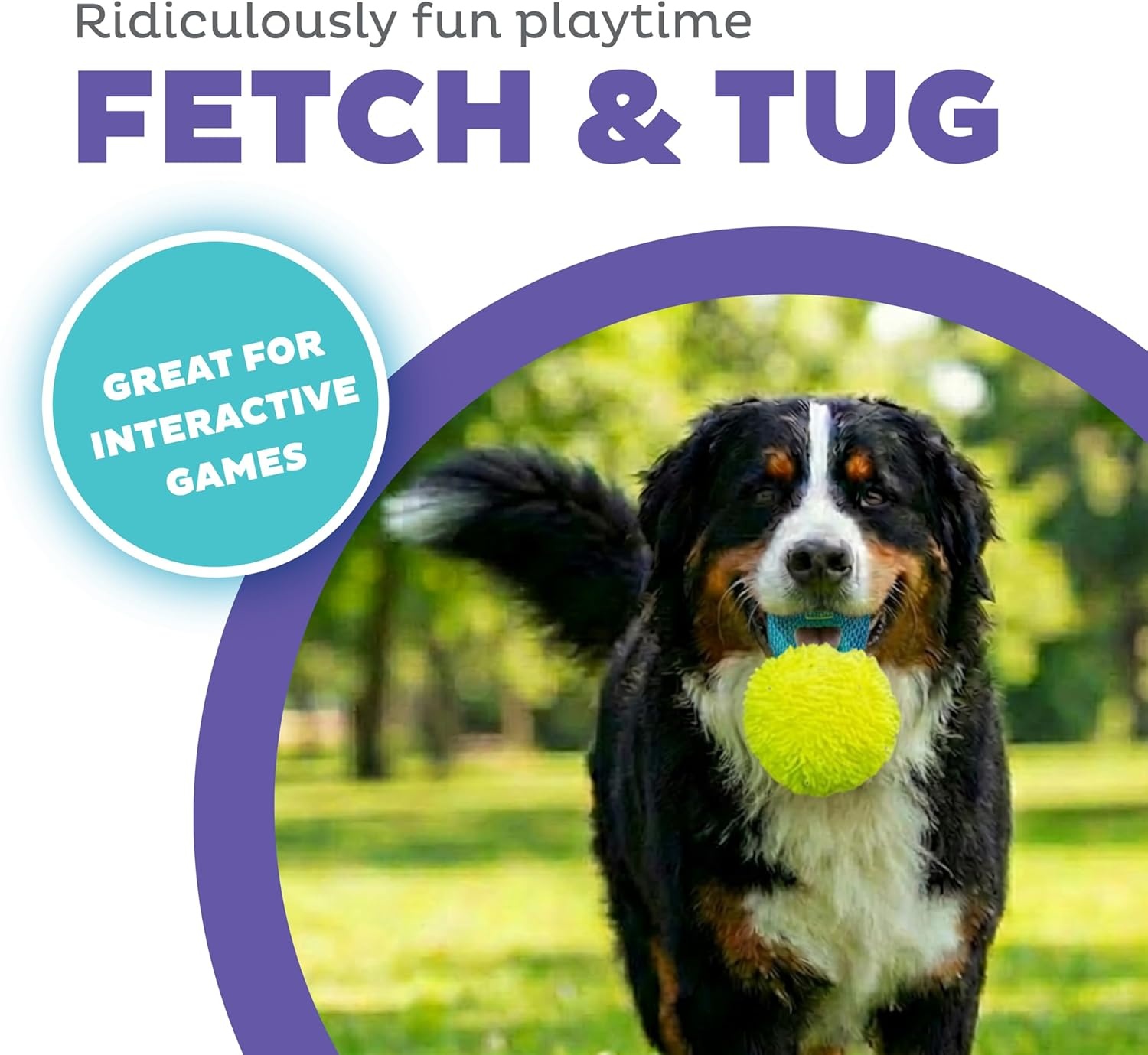 image:imageOutward Hound FlyFetch Giggle Ball Dog Toy Giggles amp Squeaks Handle for Tug amp Fetch Lightweight Multiple Textures All Breeds 73