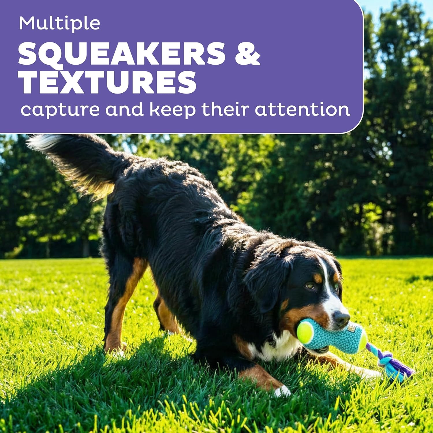 image:imageOutward Hound FlyFetch Rope Tug Dog Toy Plush Body with Squeakers Multiple Textures Floats in Water All Breeds 11