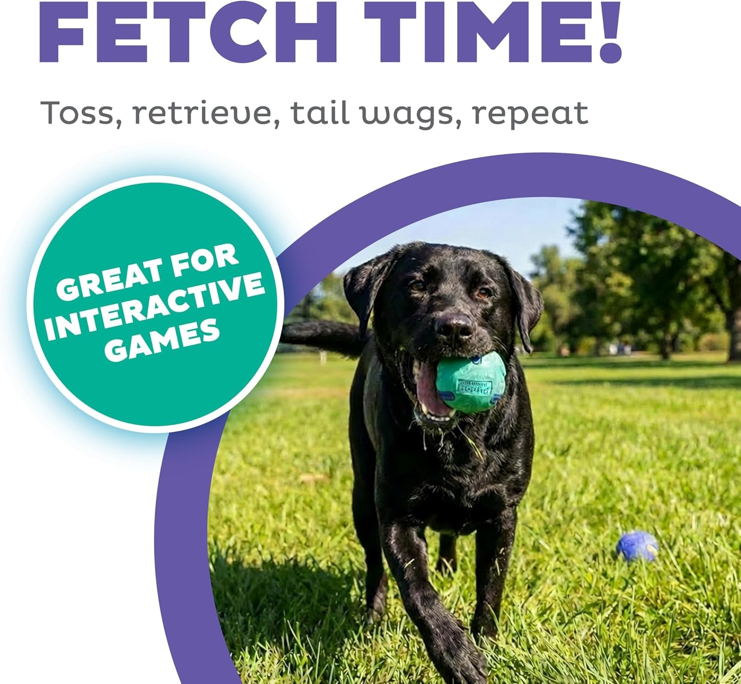 image:imageOutward Hound FlyFetch Rubber Fetch Ballz Dog Toy Bounces amp Floats Launcher Compatible 26 2Pack