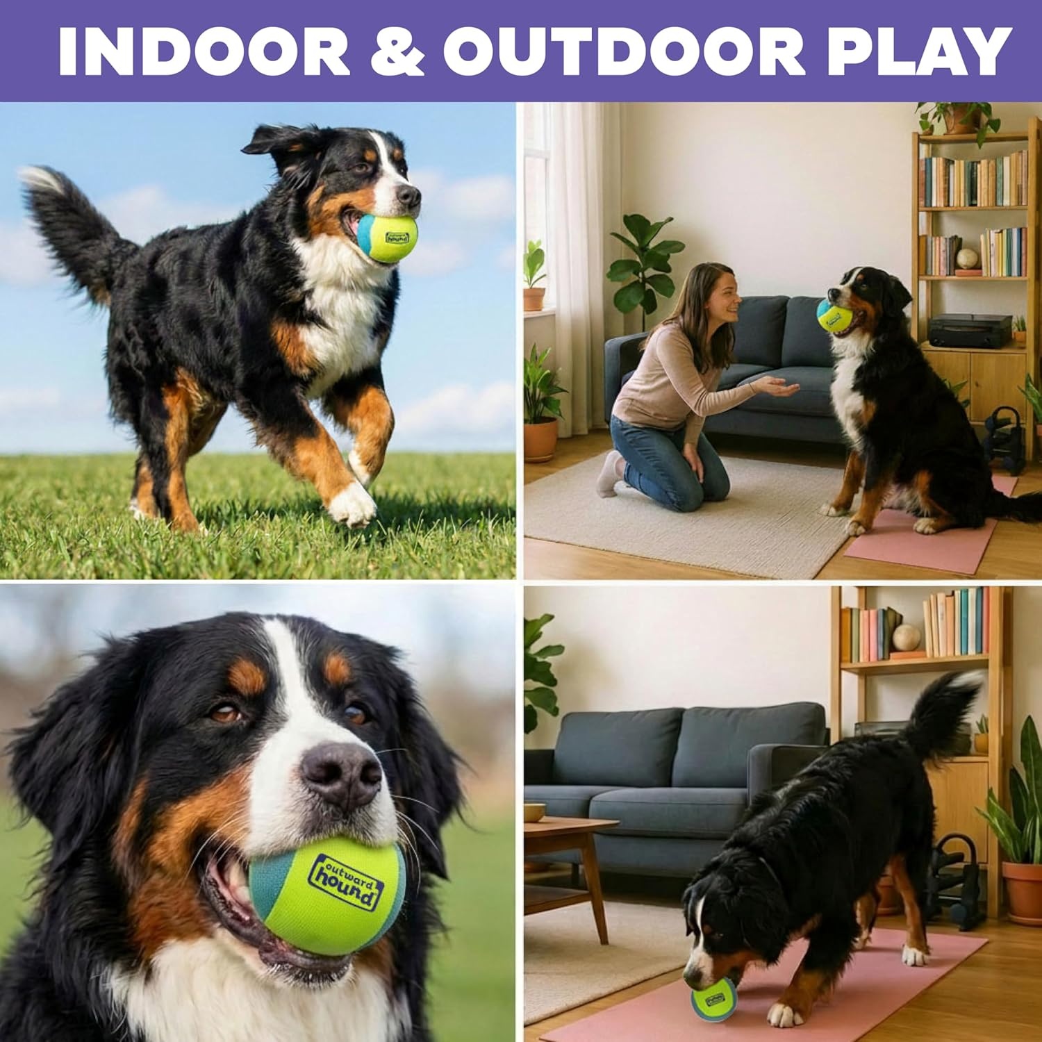 image:imageOutward Hound FlyFetch Squeak Ball Dog Toy ExtraLoud Squeaker Durable Foam Core Floats in Water All Breeds 4