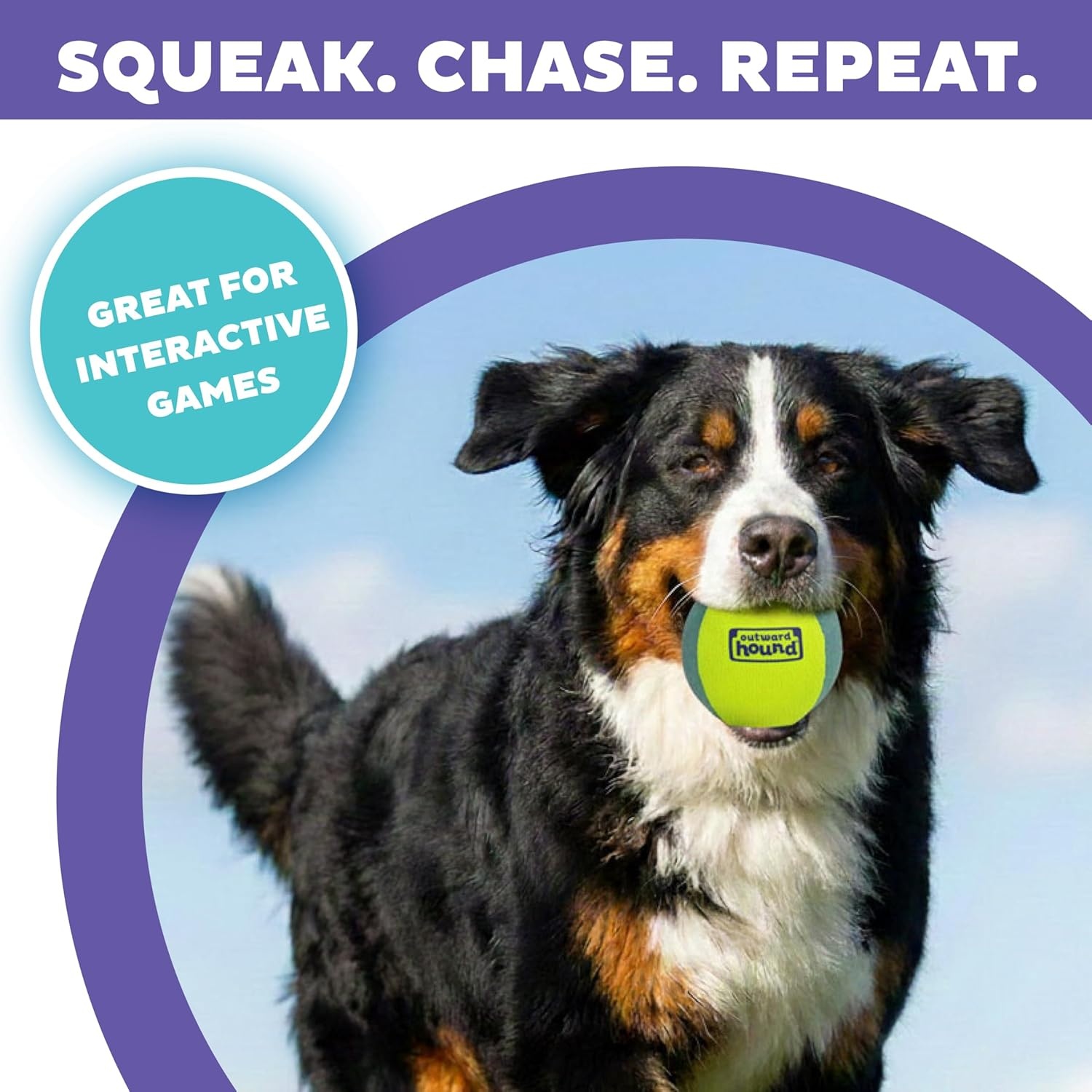 image:imageOutward Hound FlyFetch Squeak Ball Dog Toy ExtraLoud Squeaker Durable Foam Core Floats in Water All Breeds 4