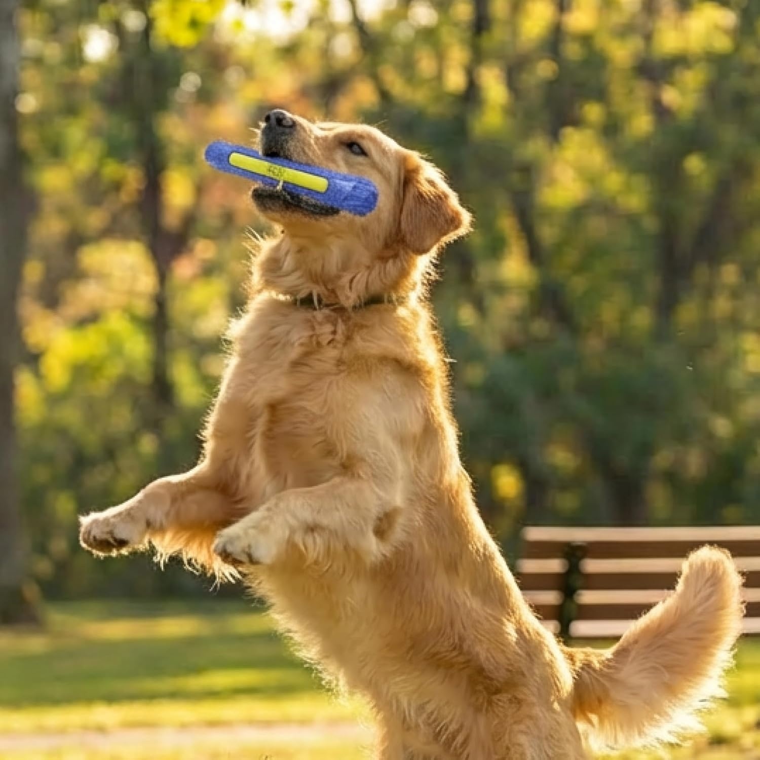 image:imageOutward Hound FlyFetch Stick Dog Toy Durable Natural Rubber Lightweight All Breeds 104