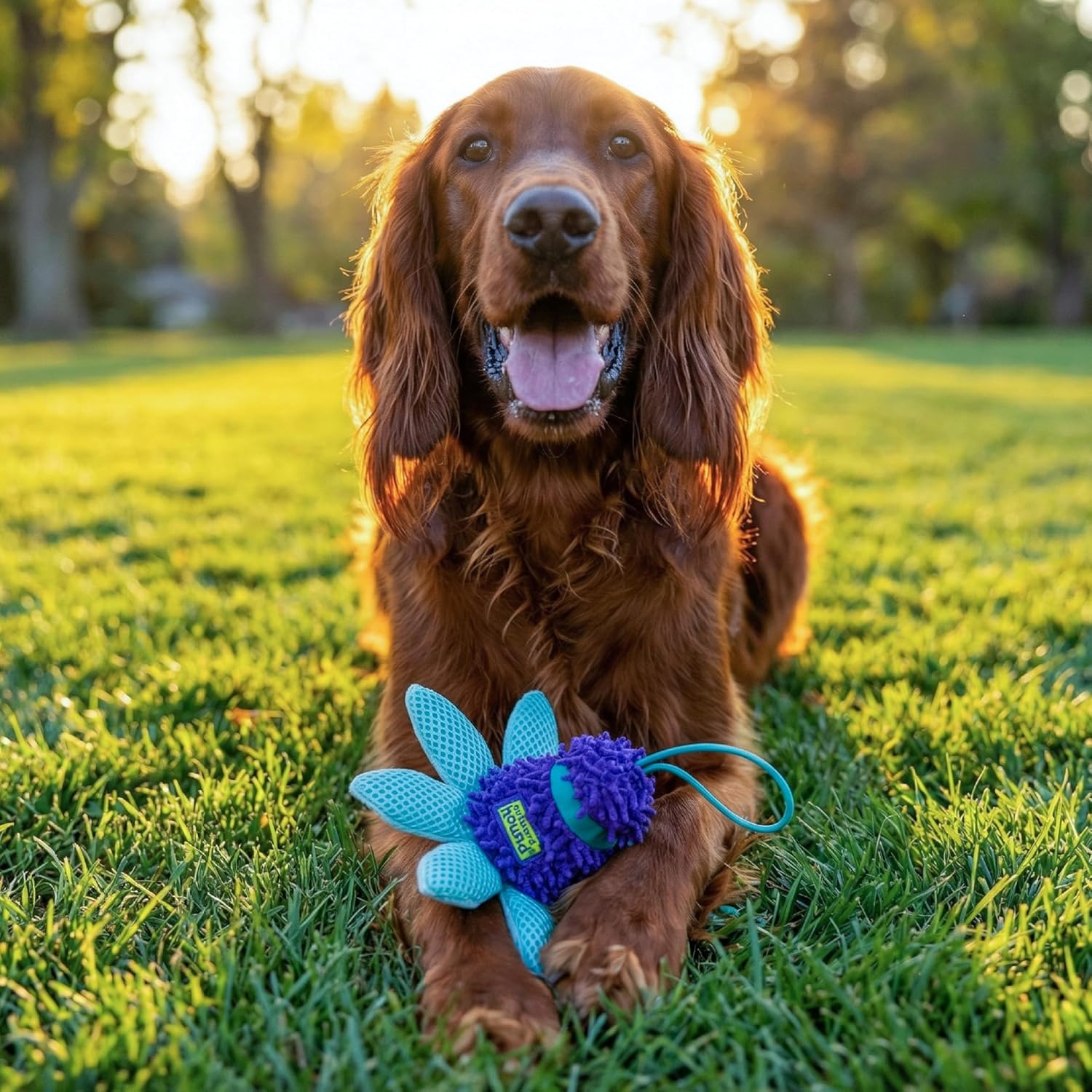 image:imageOutward Hound FlyFetch Teaser Wand Dog Toy with Crinkle Attachment Durable for Indoor amp Outdoor Play All Breeds 177