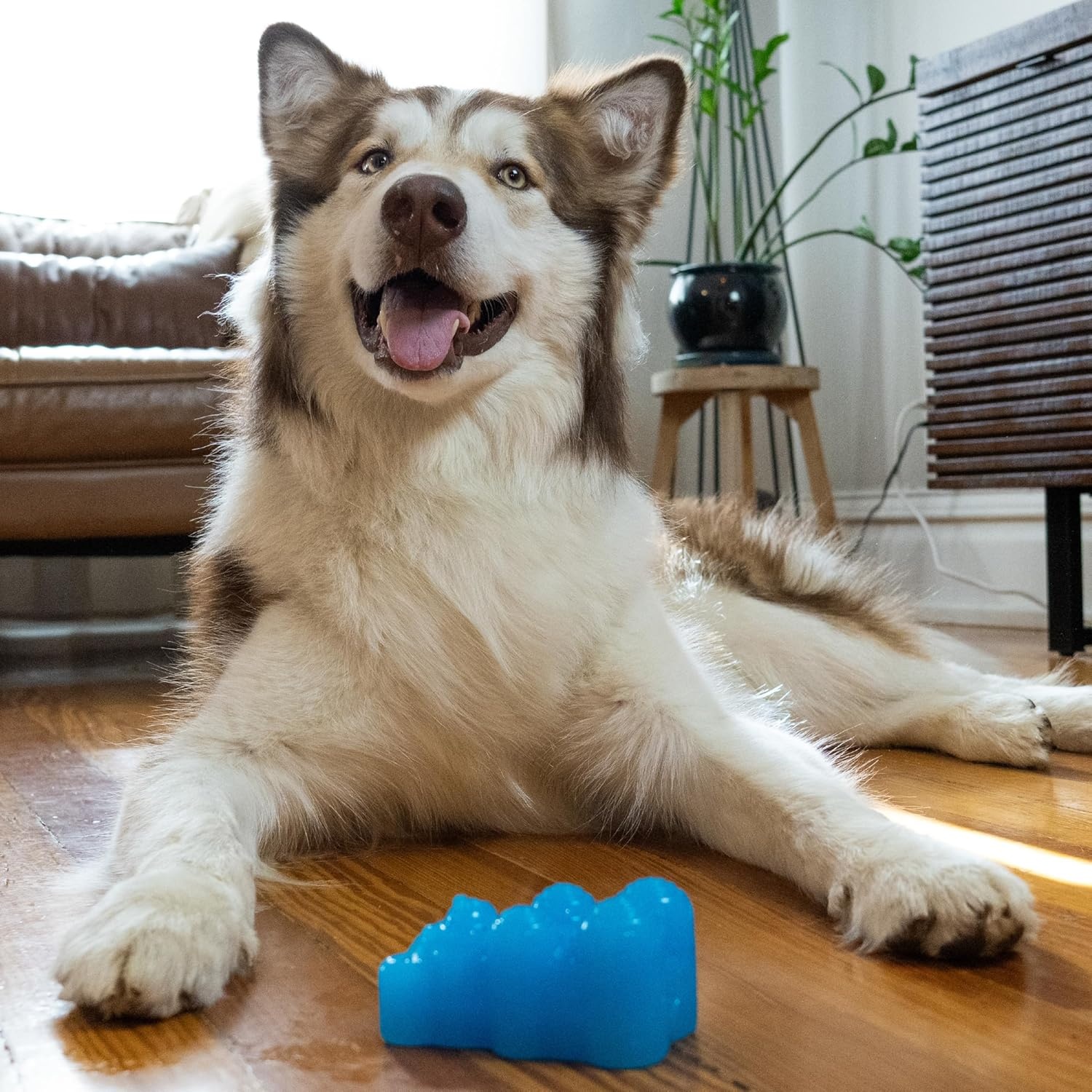 image:imageOutward Hound Gummiez Peach Ring 2in1 Dental Dog Chew Toy and Treat Stuffer Game Peach ScentBear