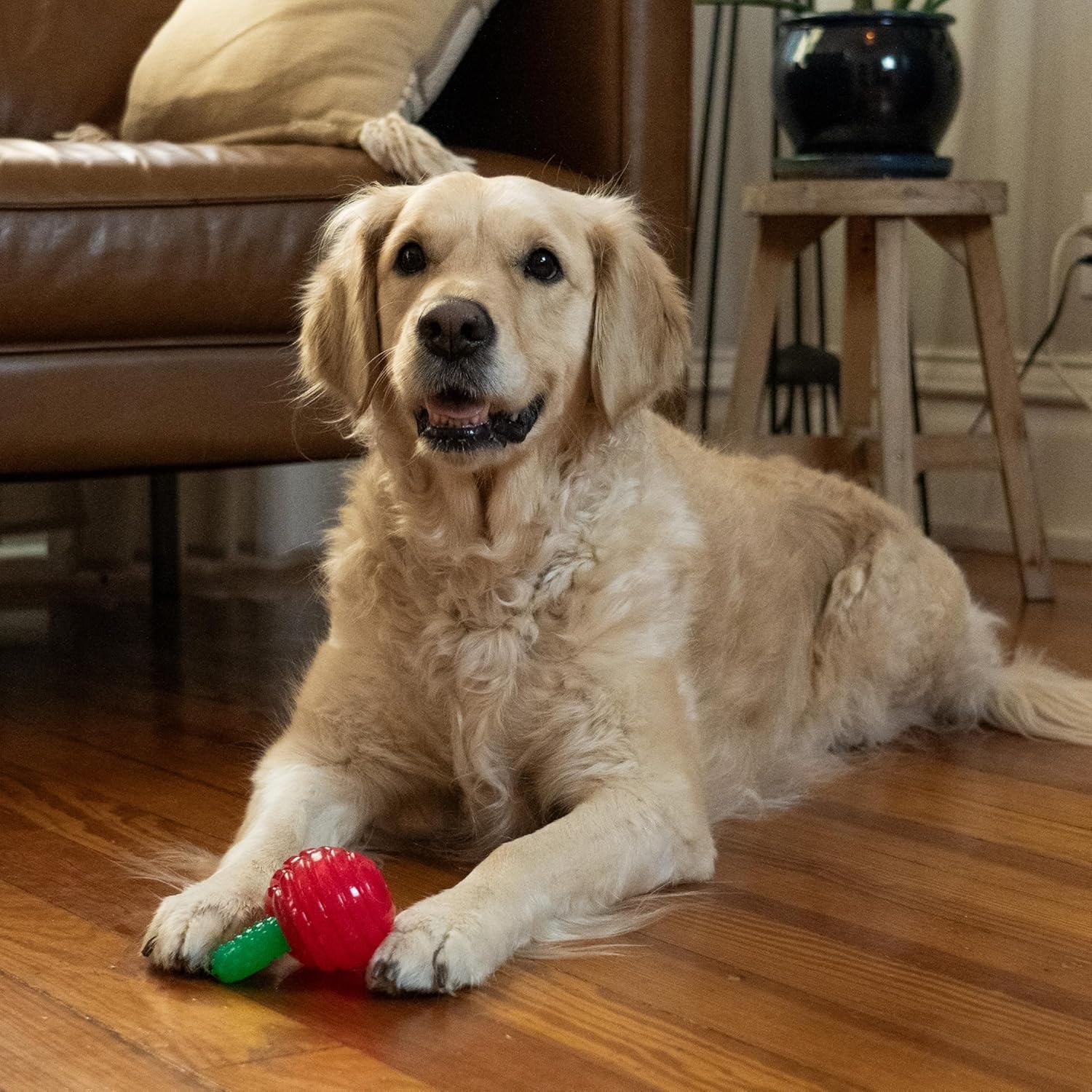 image:imageOutward Hound Gummiez Peach Ring 2in1 Dental Dog Chew Toy and Treat Stuffer Game Peach ScentCherries