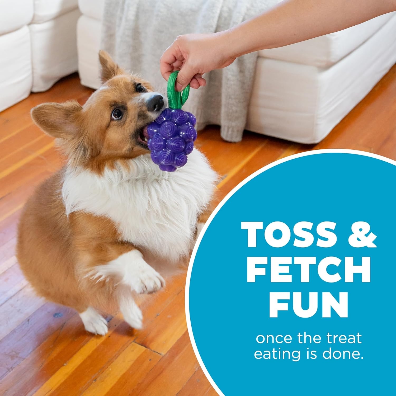 image:imageOutward Hound Gummiez Peach Ring 2in1 Dental Dog Chew Toy and Treat Stuffer Game Peach ScentGrape