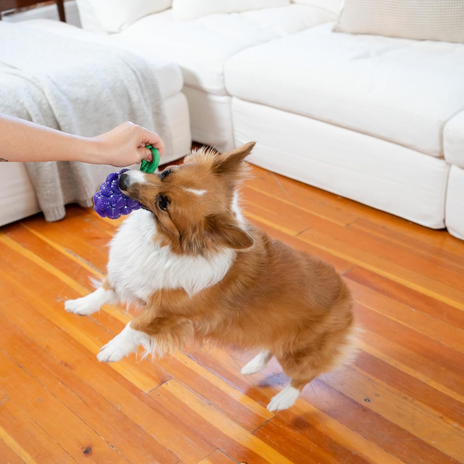 image:imageOutward Hound Gummiez Peach Ring 2in1 Dental Dog Chew Toy and Treat Stuffer Game Peach ScentGrape