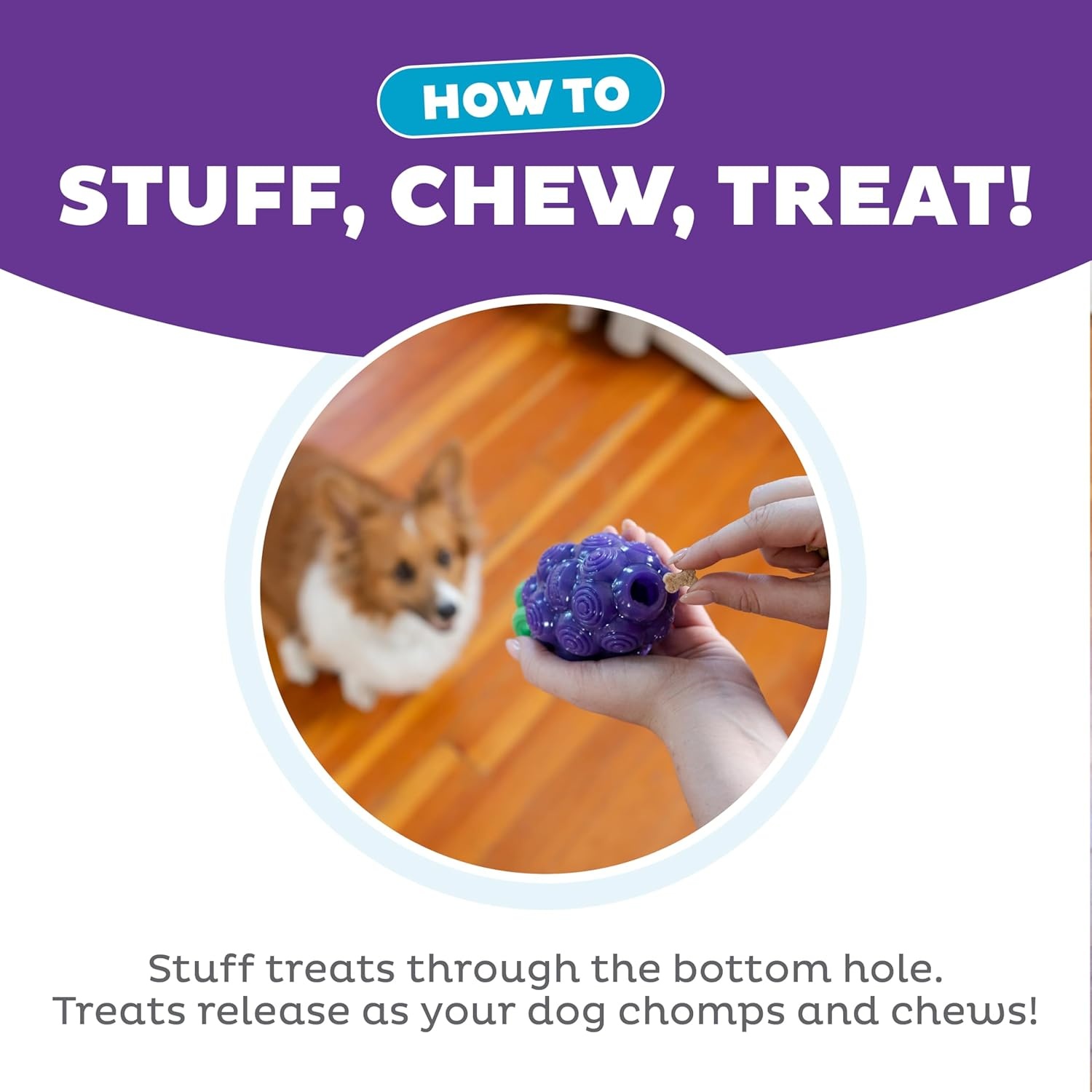 image:imageOutward Hound Gummiez Peach Ring 2in1 Dental Dog Chew Toy and Treat Stuffer Game Peach ScentGrape