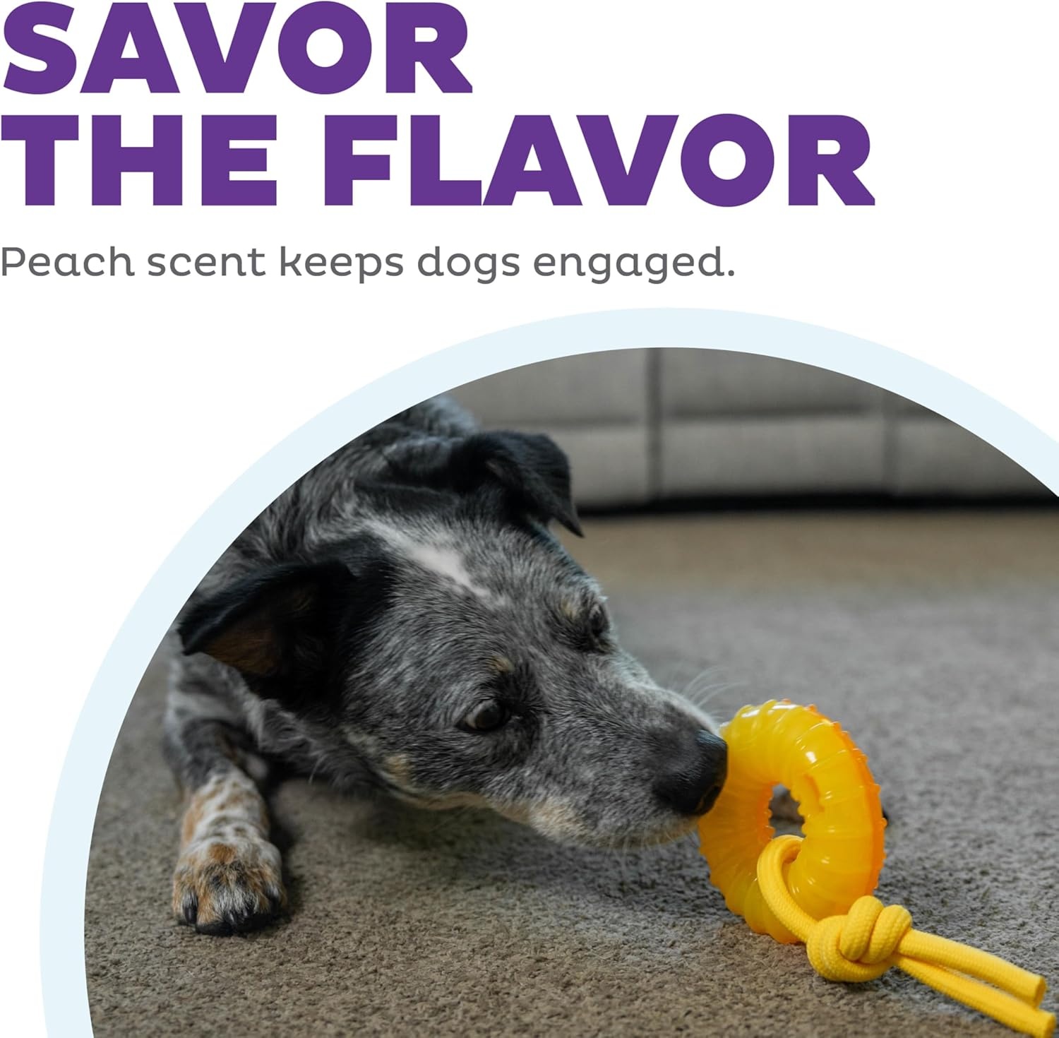 image:imageOutward Hound Gummiez Peach Ring 2in1 Dental Dog Chew Toy and Treat Stuffer Game Peach ScentGummiez Peach Ring