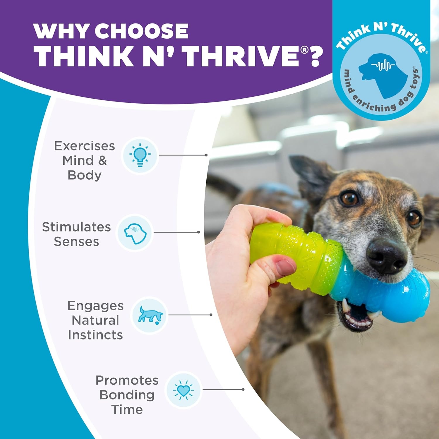 image:imageOutward Hound Gummiez Peach Ring 2in1 Dental Dog Chew Toy and Treat Stuffer Game Peach ScentGummiez Worm