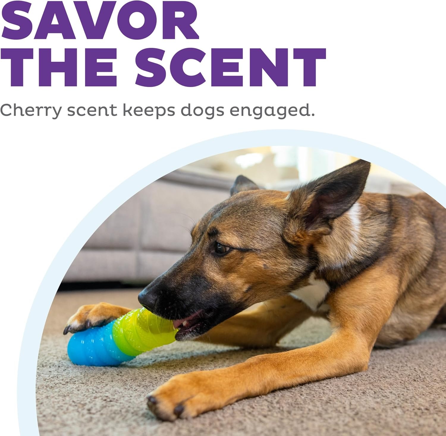 image:imageOutward Hound Gummiez Peach Ring 2in1 Dental Dog Chew Toy and Treat Stuffer Game Peach ScentGummiez Worm