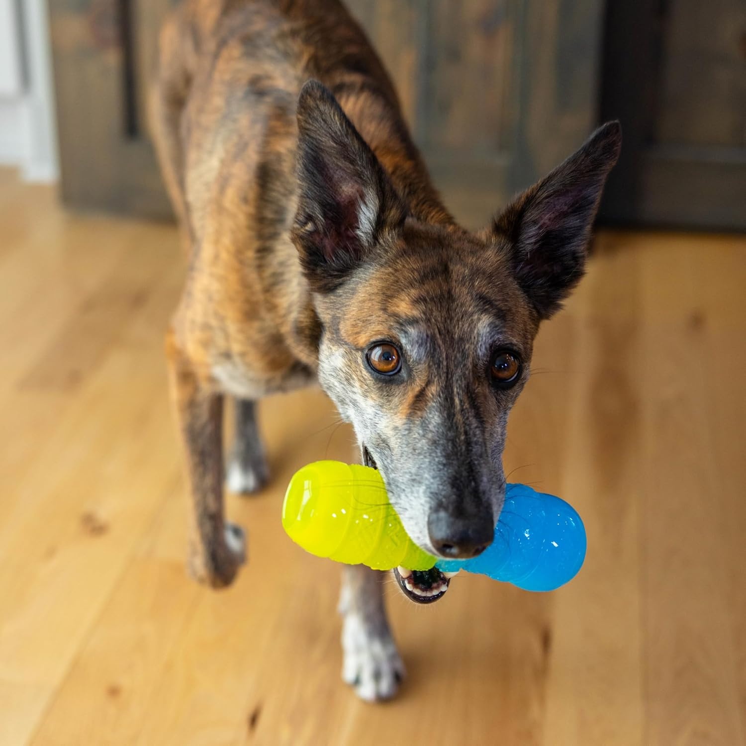 image:imageOutward Hound Gummiez Peach Ring 2in1 Dental Dog Chew Toy and Treat Stuffer Game Peach ScentGummiez Worm
