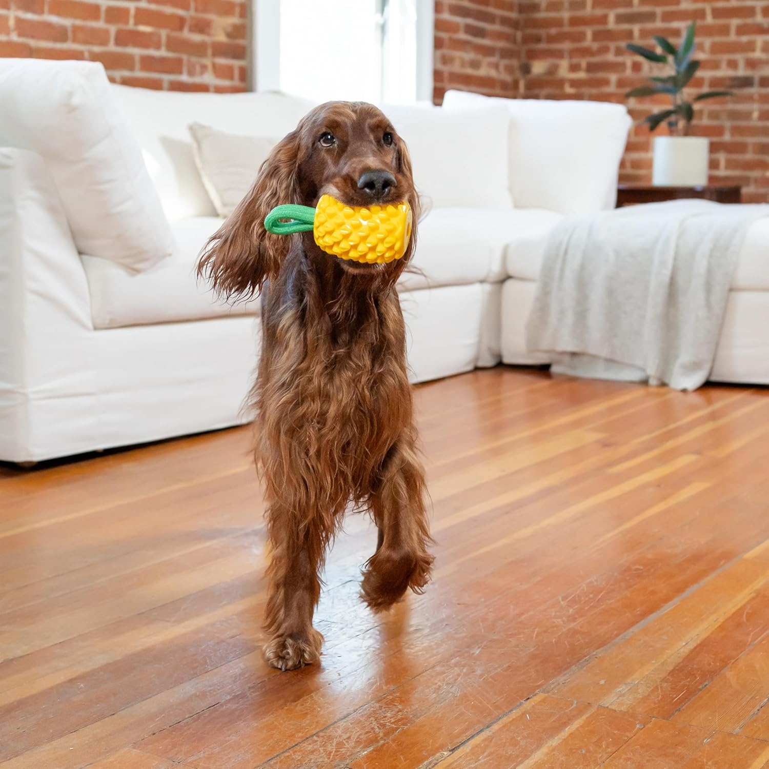 image:imageOutward Hound Gummiez Peach Ring 2in1 Dental Dog Chew Toy and Treat Stuffer Game Peach ScentPineapple