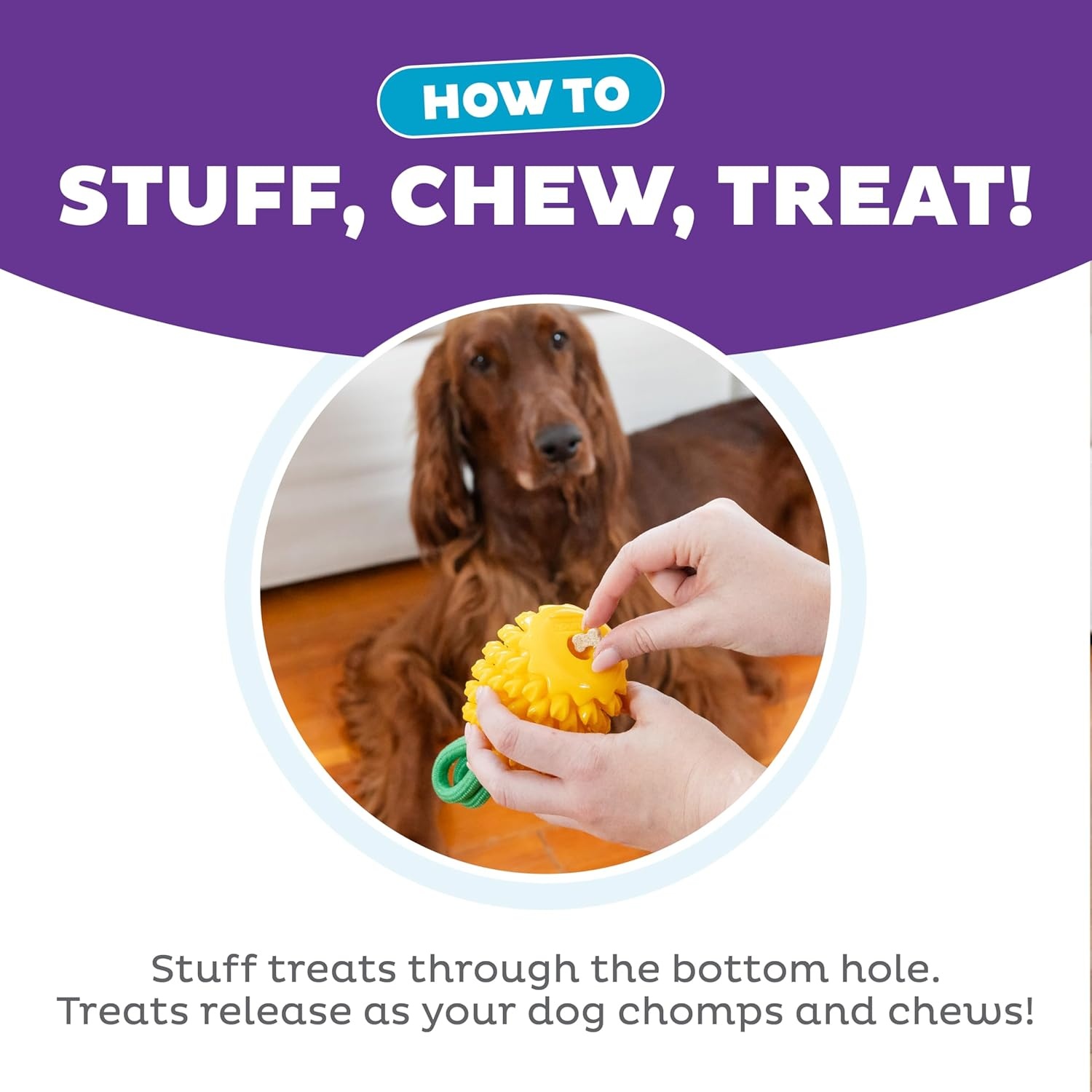 image:imageOutward Hound Gummiez Peach Ring 2in1 Dental Dog Chew Toy and Treat Stuffer Game Peach ScentPineapple