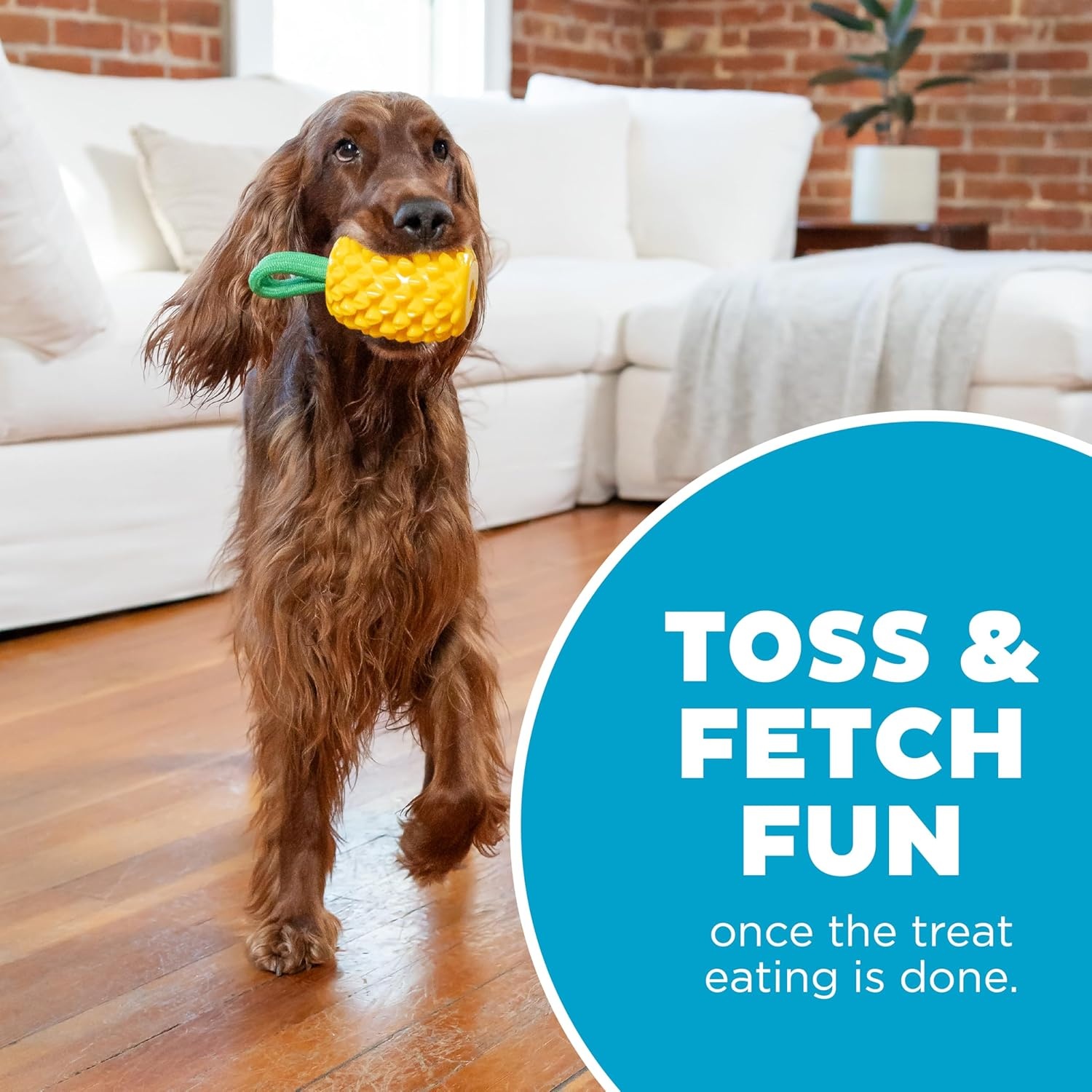 image:imageOutward Hound Gummiez Peach Ring 2in1 Dental Dog Chew Toy and Treat Stuffer Game Peach ScentPineapple