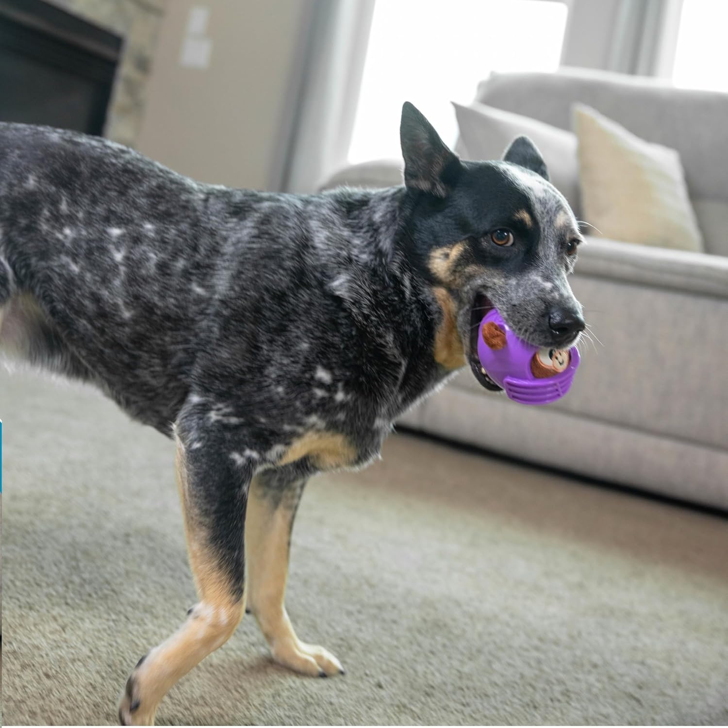image:imageOutward Hound Helmet Headz Monkey Dog Toy Plush Squeaky Fetch Ball Durable Dog Toy for Active Play Multicolored Small