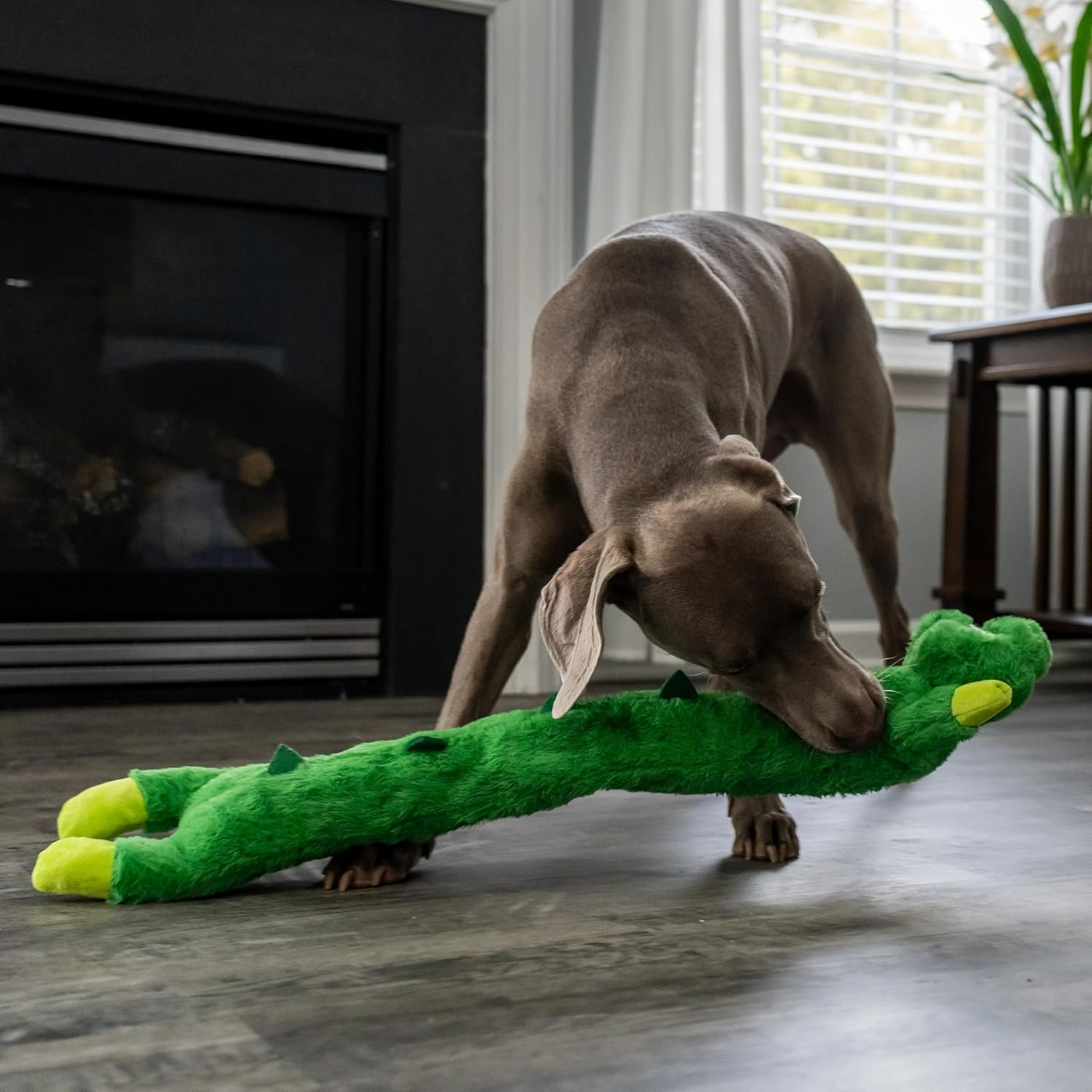 image:imageOutward Hound Longidudes Gator Long Crinkly amp Squeaky Dog Toy GreenGator