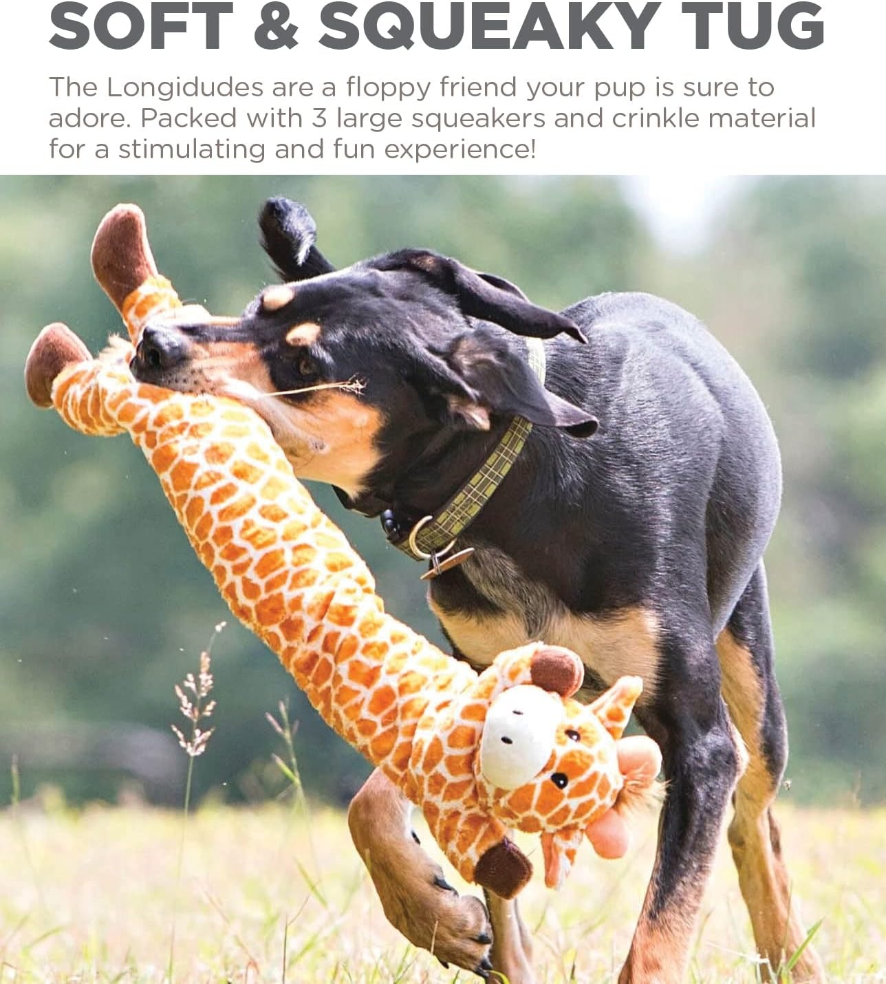 image:imageOutward Hound Longidudes Gator Long Crinkly amp Squeaky Dog Toy GreenGiraffe