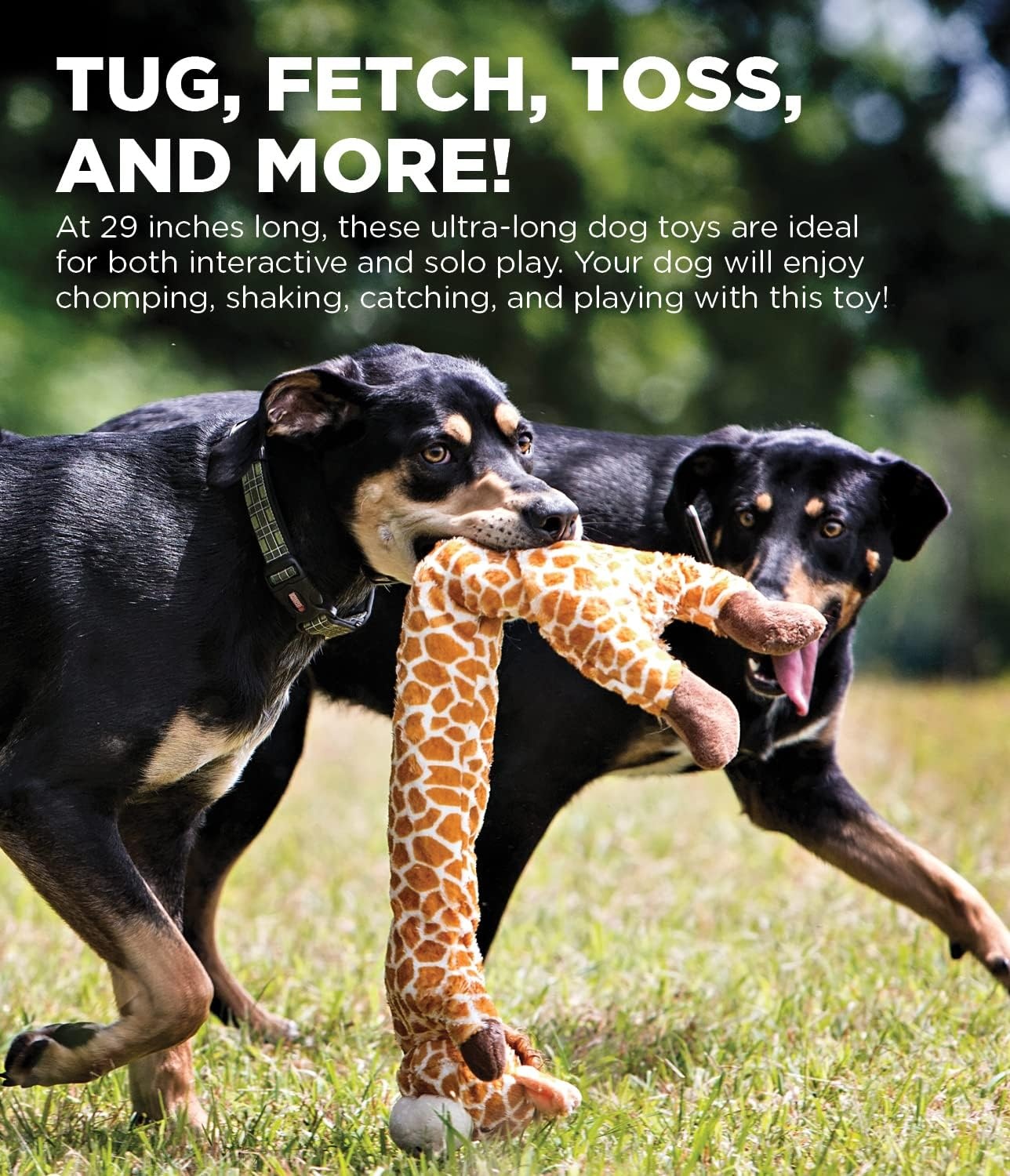 image:imageOutward Hound Longidudes Gator Long Crinkly amp Squeaky Dog Toy GreenGiraffe