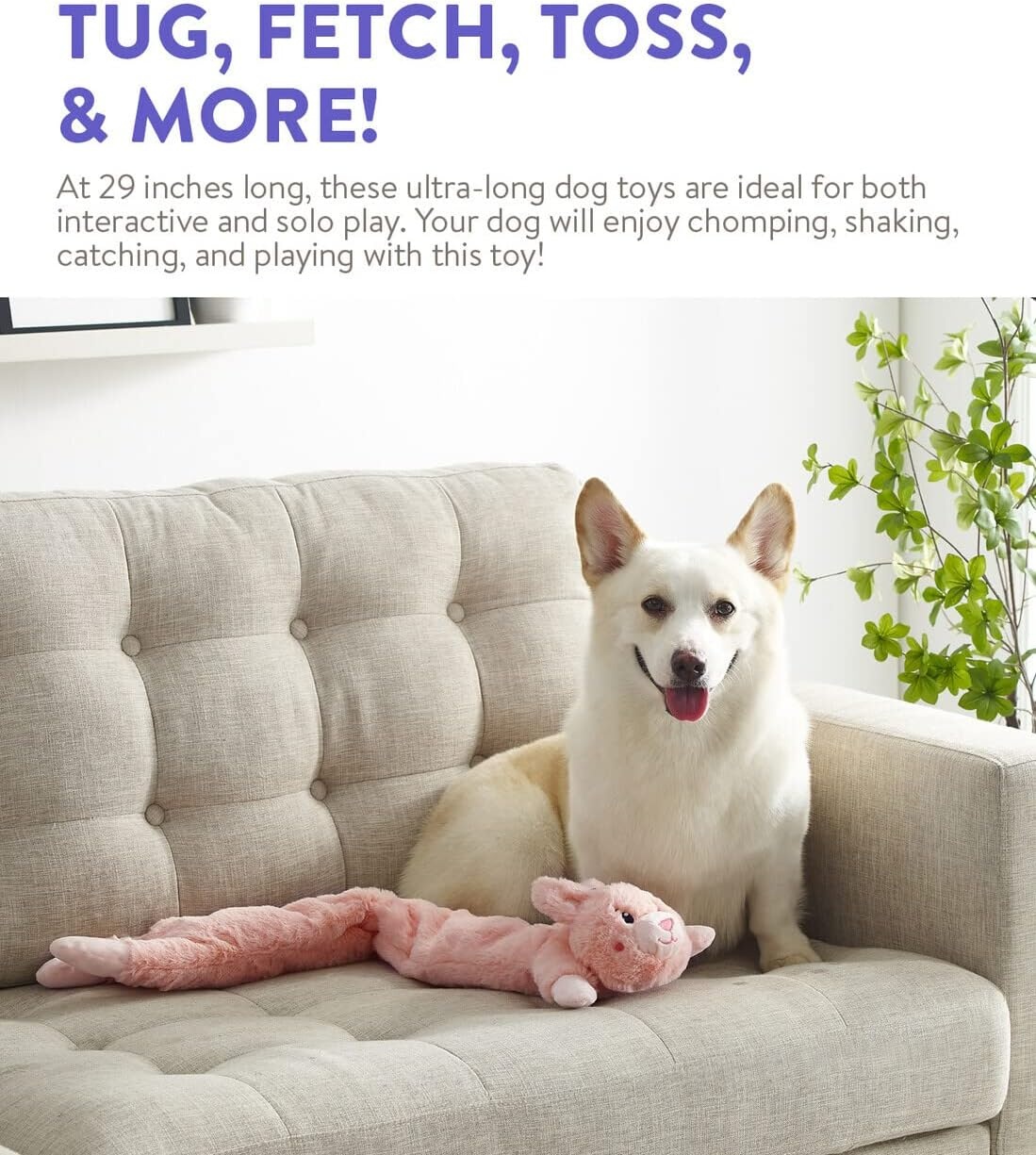 image:imageOutward Hound Longidudes Gator Long Crinkly amp Squeaky Dog Toy GreenRabbit