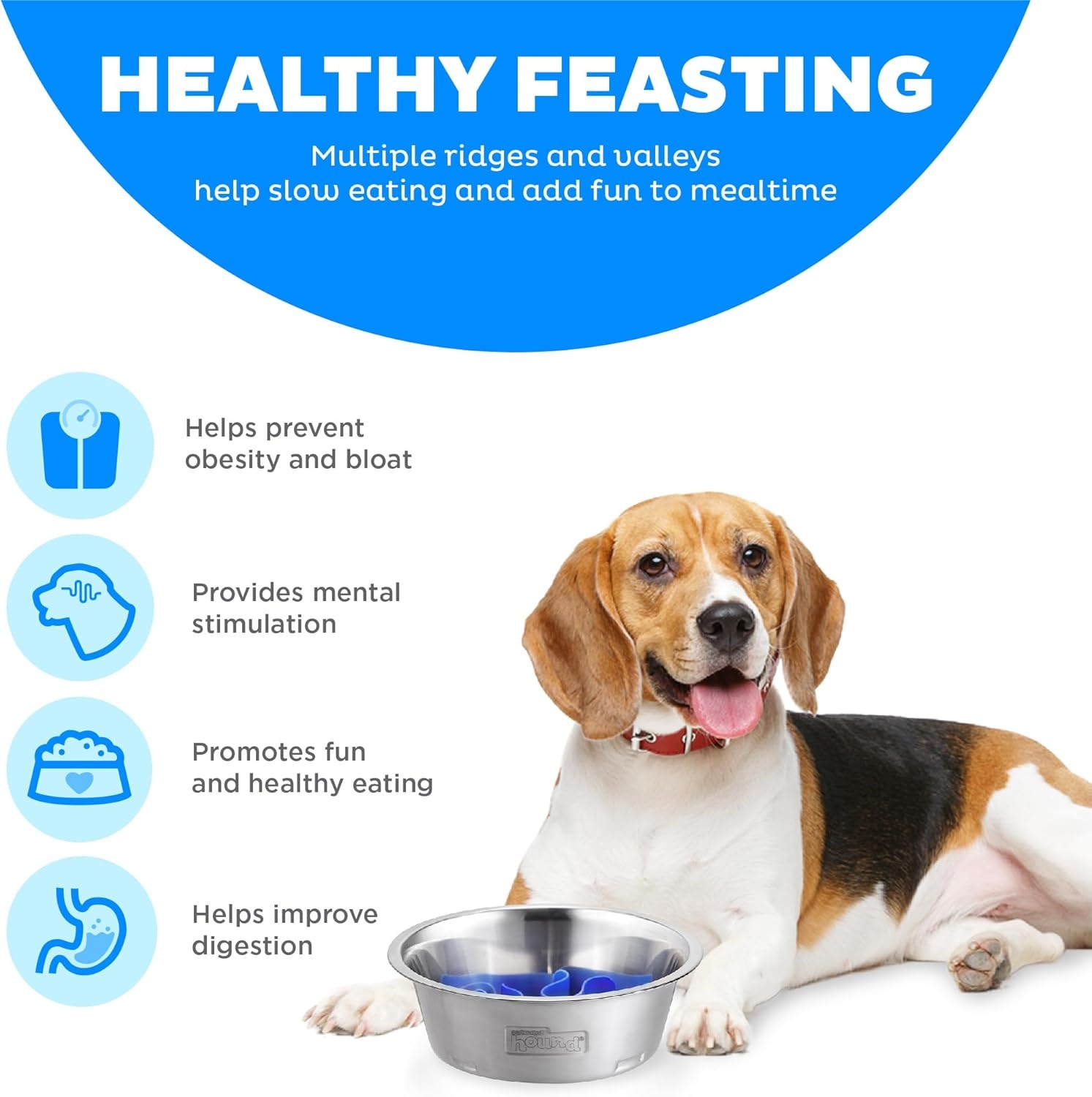 image:imageOutward Hound Medium Slow Feeder Bowl Puzzle Maze for Fast Eaters Small to Medium Dogs Helps Prevent Bloat amp Aid Digestion Holds 2 Cups Wet or Dry Food NonSlip Made Without BPA SageStainless Steel