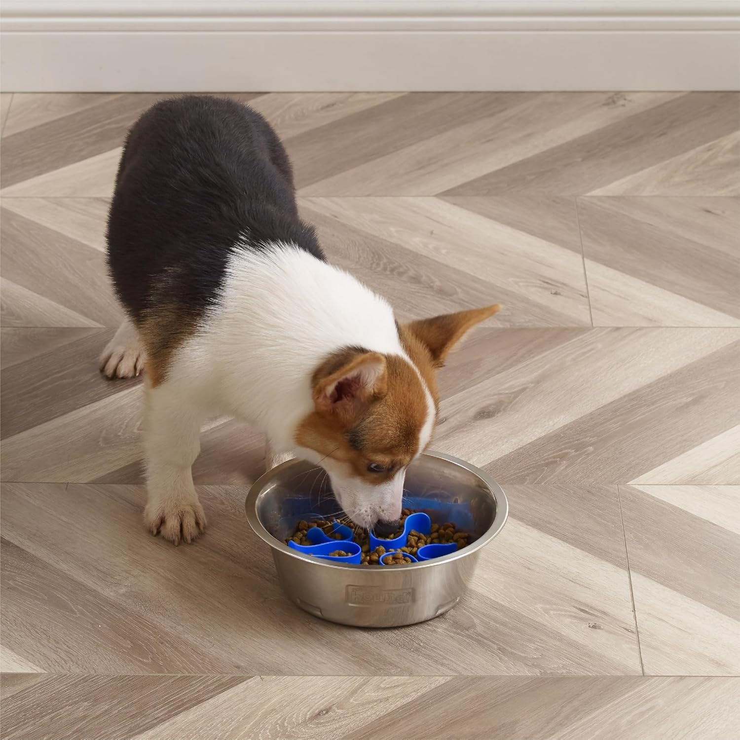 image:imageOutward Hound Medium Slow Feeder Bowl Puzzle Maze for Fast Eaters Small to Medium Dogs Helps Prevent Bloat amp Aid Digestion Holds 2 Cups Wet or Dry Food NonSlip Made Without BPA SageStainless Steel