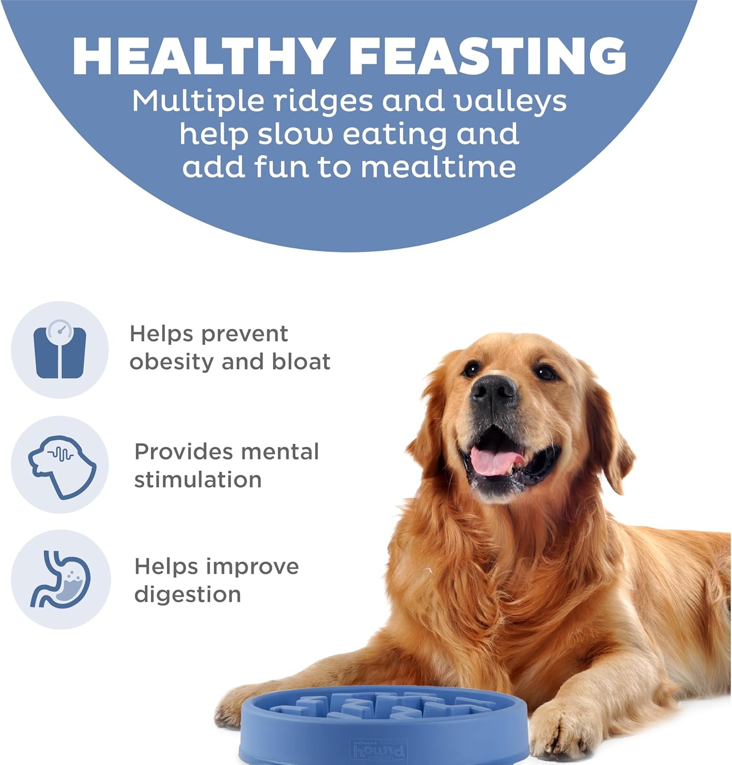 image:imageOutward Hound Medium Slow Feeder Bowl Puzzle Maze for Fast Eaters Small to Medium Dogs Helps Prevent Bloat amp Aid Digestion Holds 2 Cups Wet or Dry Food NonSlip Made Without BPA SageBlue